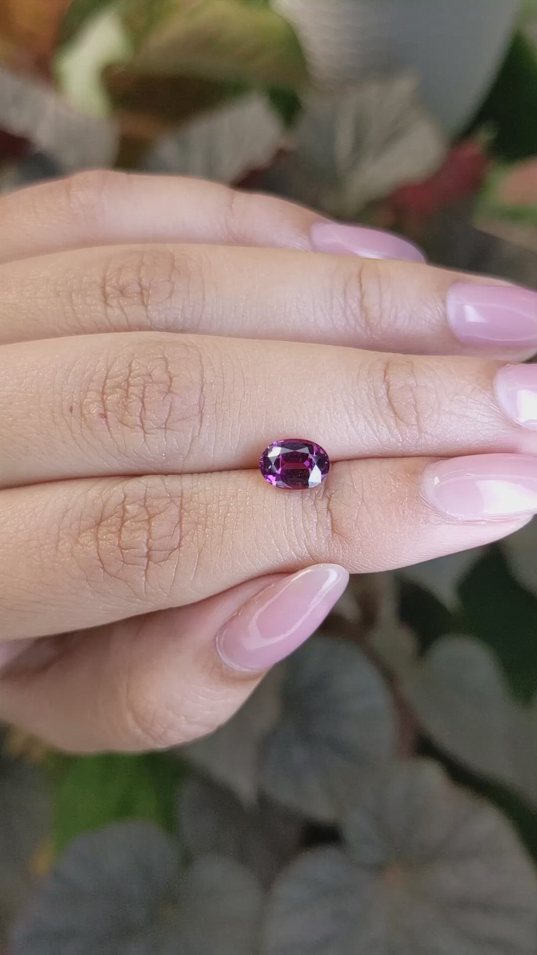 1.71 Ct. Purplish Pink Rhodolite Garnet from Ceylon (Sri Lanka) Size Video