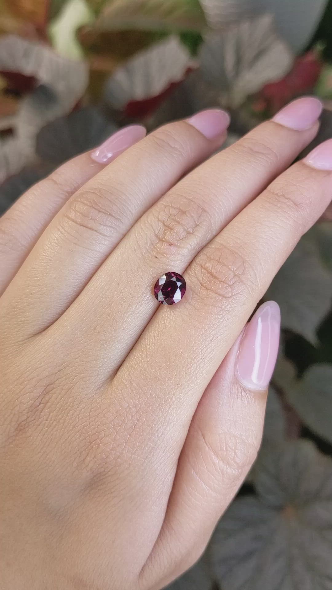 1.97 Ct. Purplish Red Rhodolite Garnet from Ceylon (Sri Lanka) Size Video