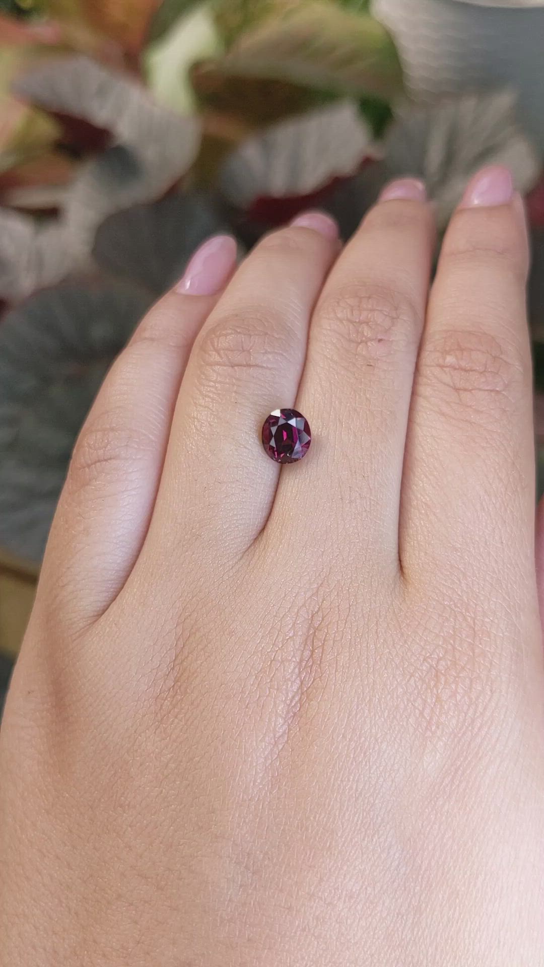 1.97 Ct. Purplish Red Rhodolite Garnet from Ceylon (Sri Lanka) Size Video