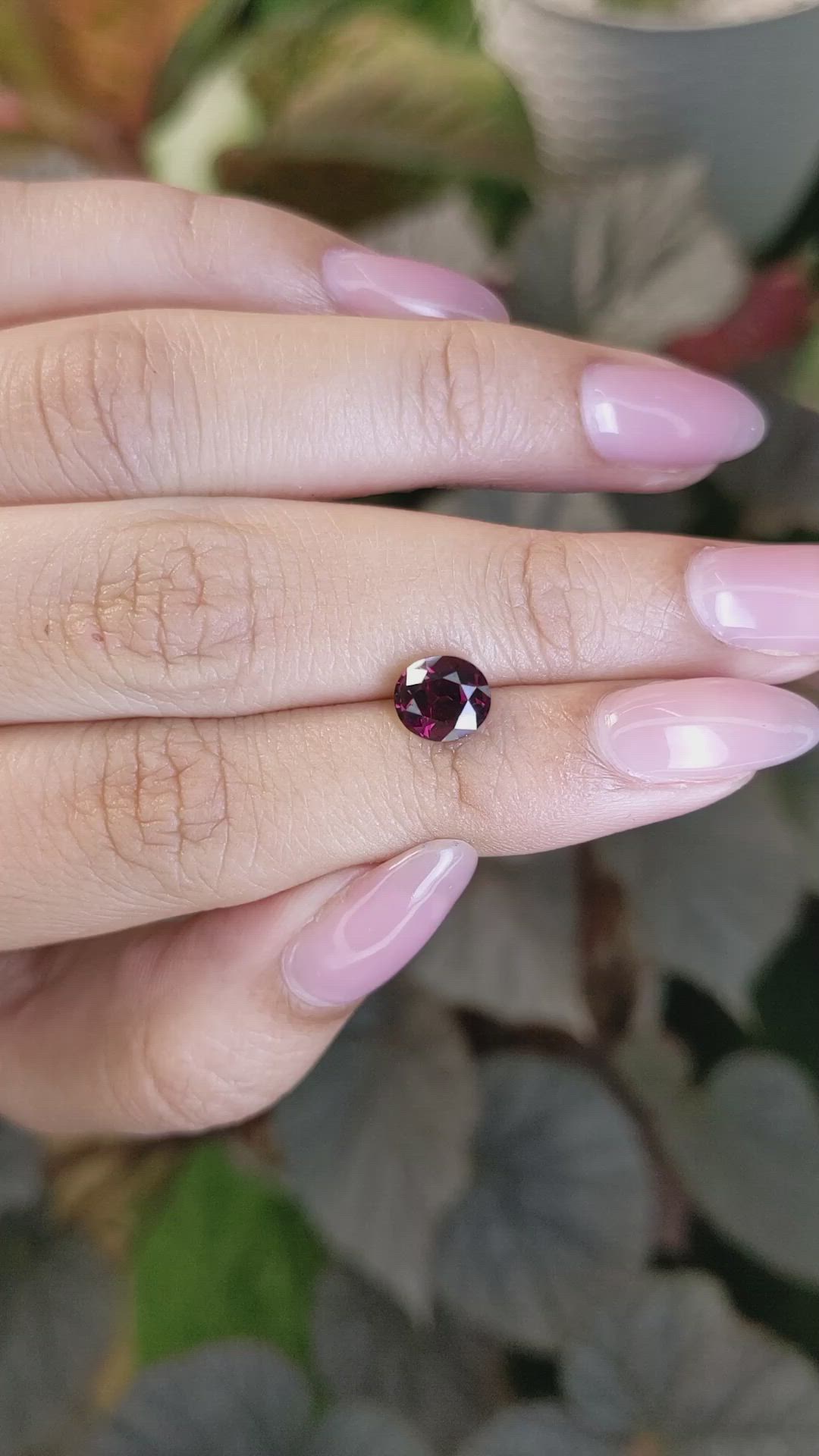 1.97 Ct. Purplish Red Rhodolite Garnet from Ceylon (Sri Lanka) Size Video