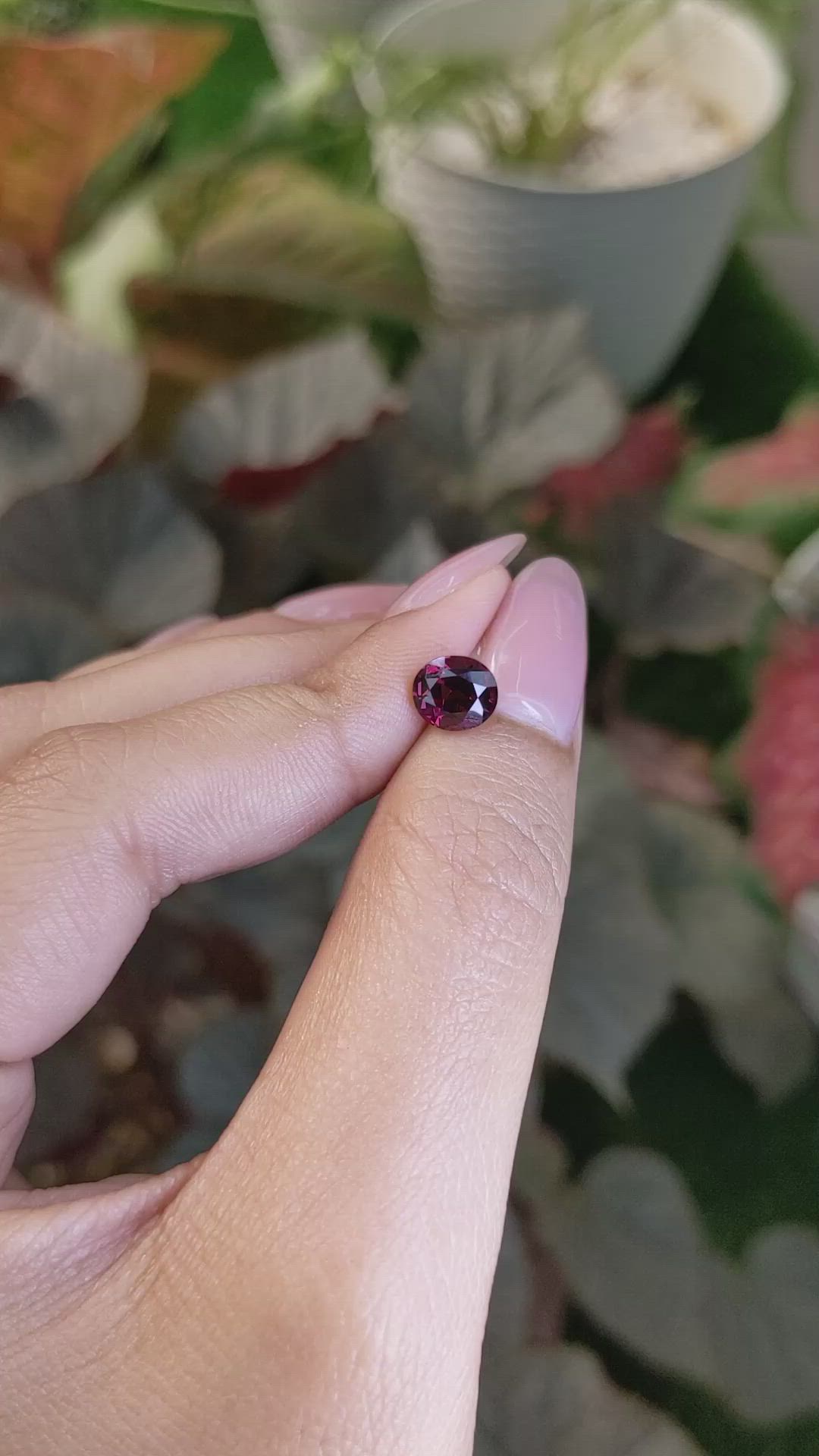 1.97 Ct. Purplish Red Rhodolite Garnet from Ceylon (Sri Lanka) Size Video