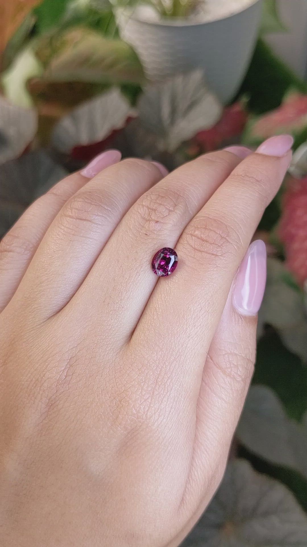 1.79 Ct. Purplish Pink Rhodolite Garnet from Ceylon (Sri Lanka) Size Video