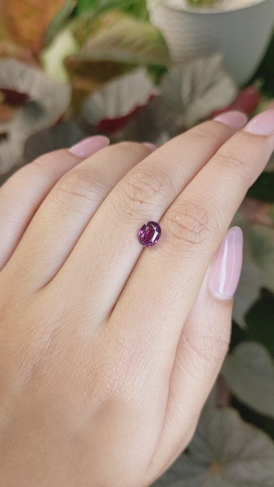 1.52 Ct. Pinkish Purple Rhodolite Garnet from Ceylon (Sri Lanka) Size Video