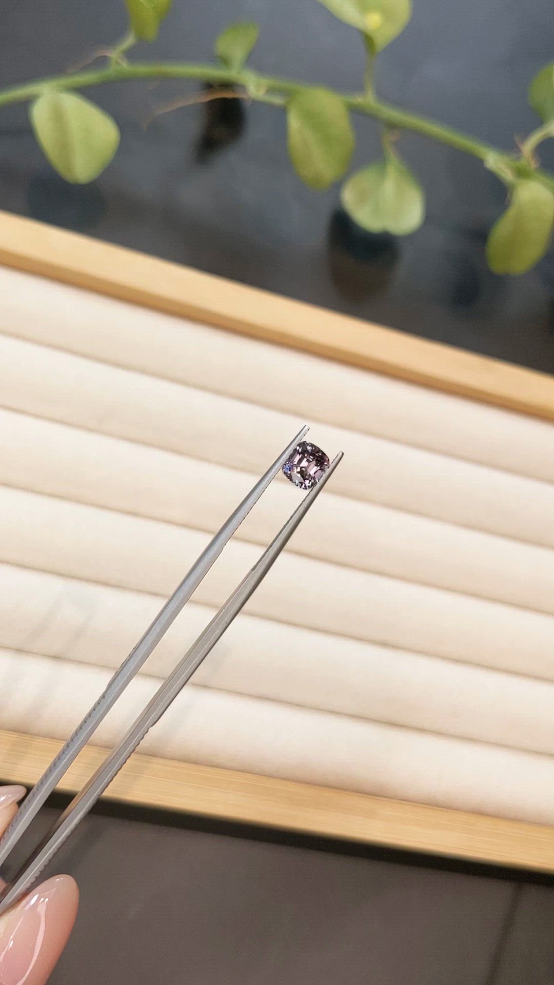 1.26 Ct. Purple Spinel from Burma (Myanmar) Size Video