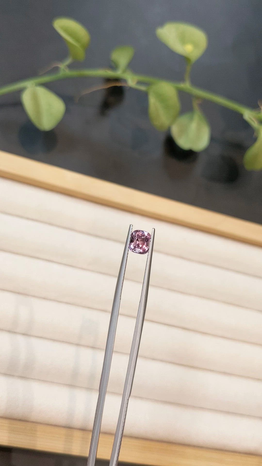 1.52 Ct. Reddish Pink Spinel from Burma (Myanmar) Size Video