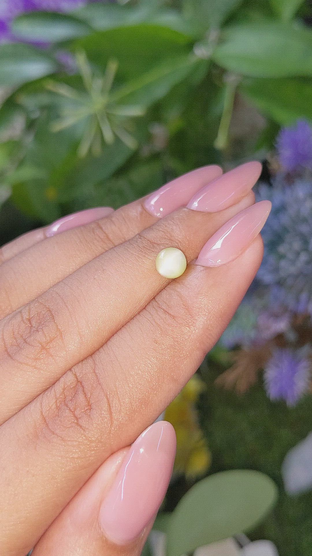 1.17 Ct. Yellowish Green Cabochon Chrysoberyl from Ceylon (Sri Lanka) Size Video