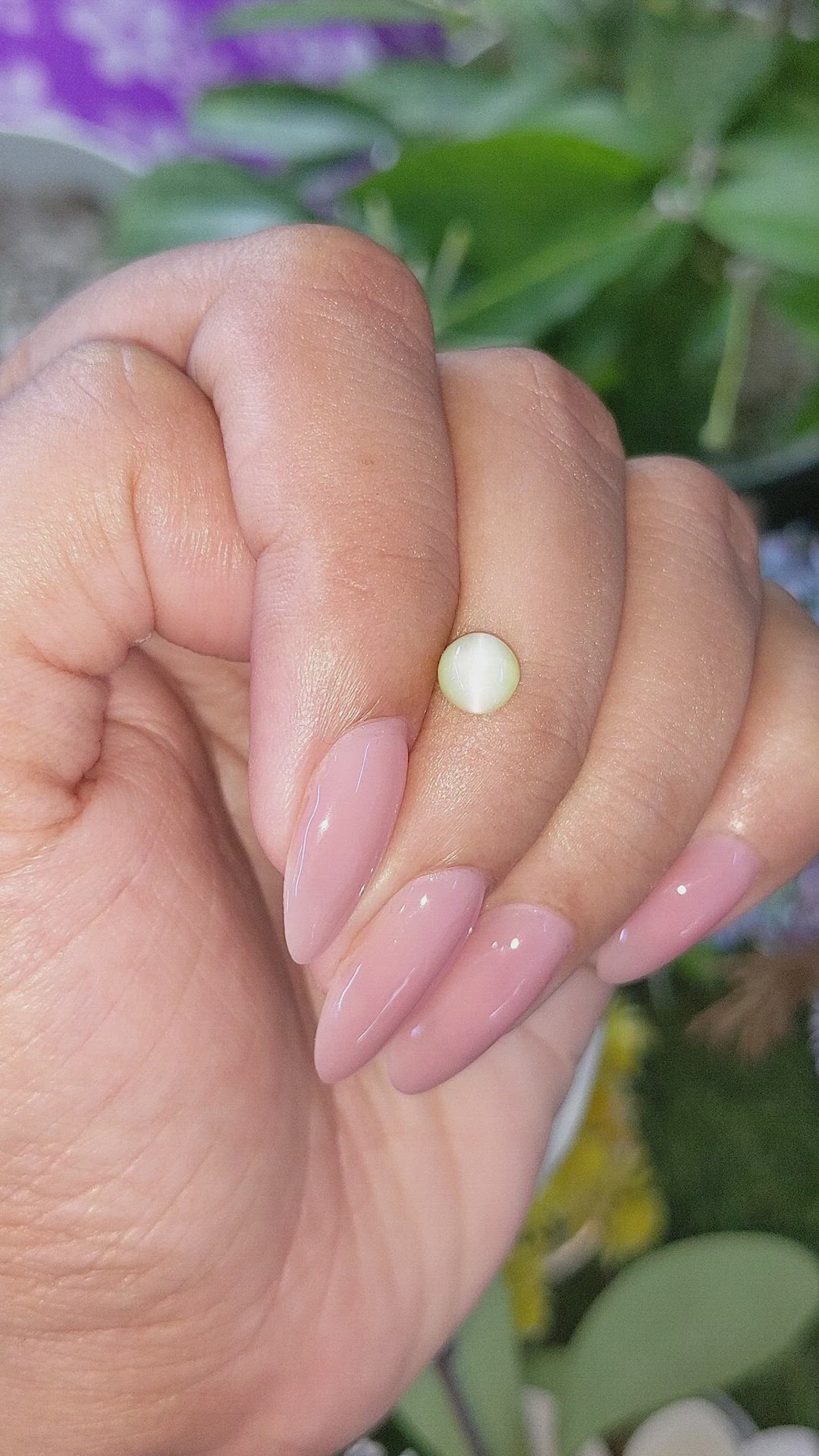 1.17 Ct. Yellowish Green Cabochon Chrysoberyl from Ceylon (Sri Lanka) Size Video