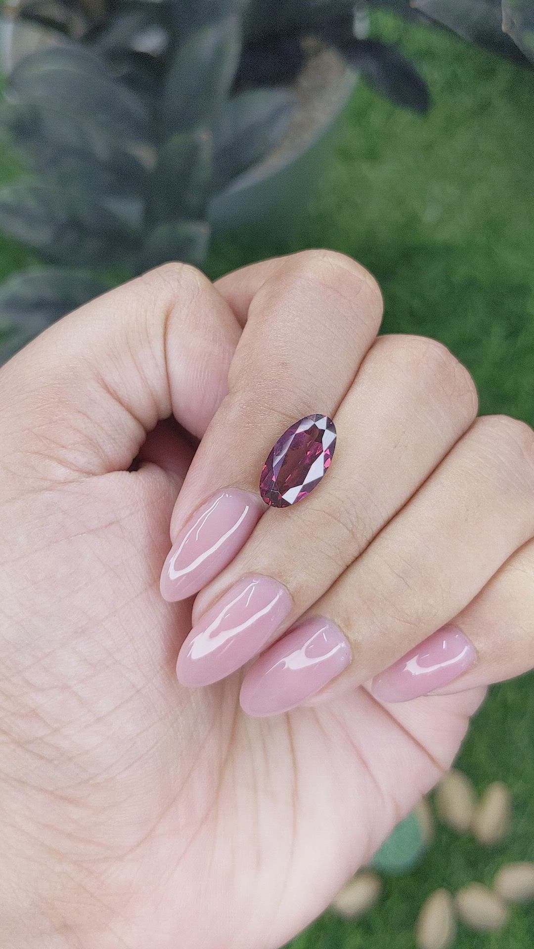 3.59 Ct. Purplish Pink Rhodolite Garnet from Ceylon (Sri Lanka) Size Video
