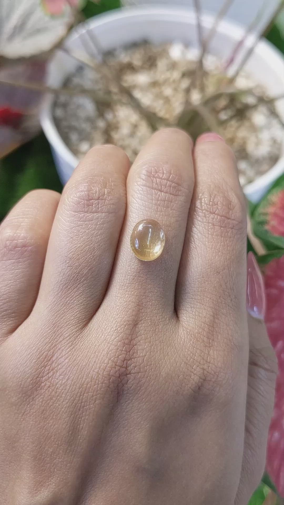 2.30 Ct. Yellow Cabochon Citrine from Ceylon (Sri Lanka) Size Video