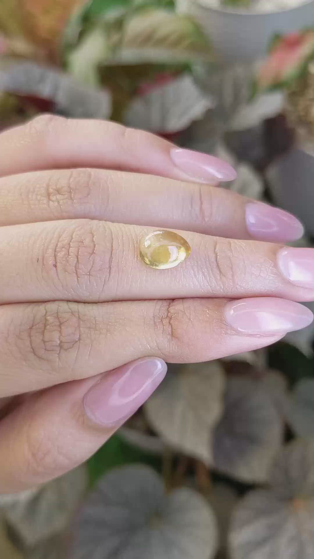 2.25 Ct. Yellow Cabochon Citrine from Ceylon (Sri Lanka) Size Video