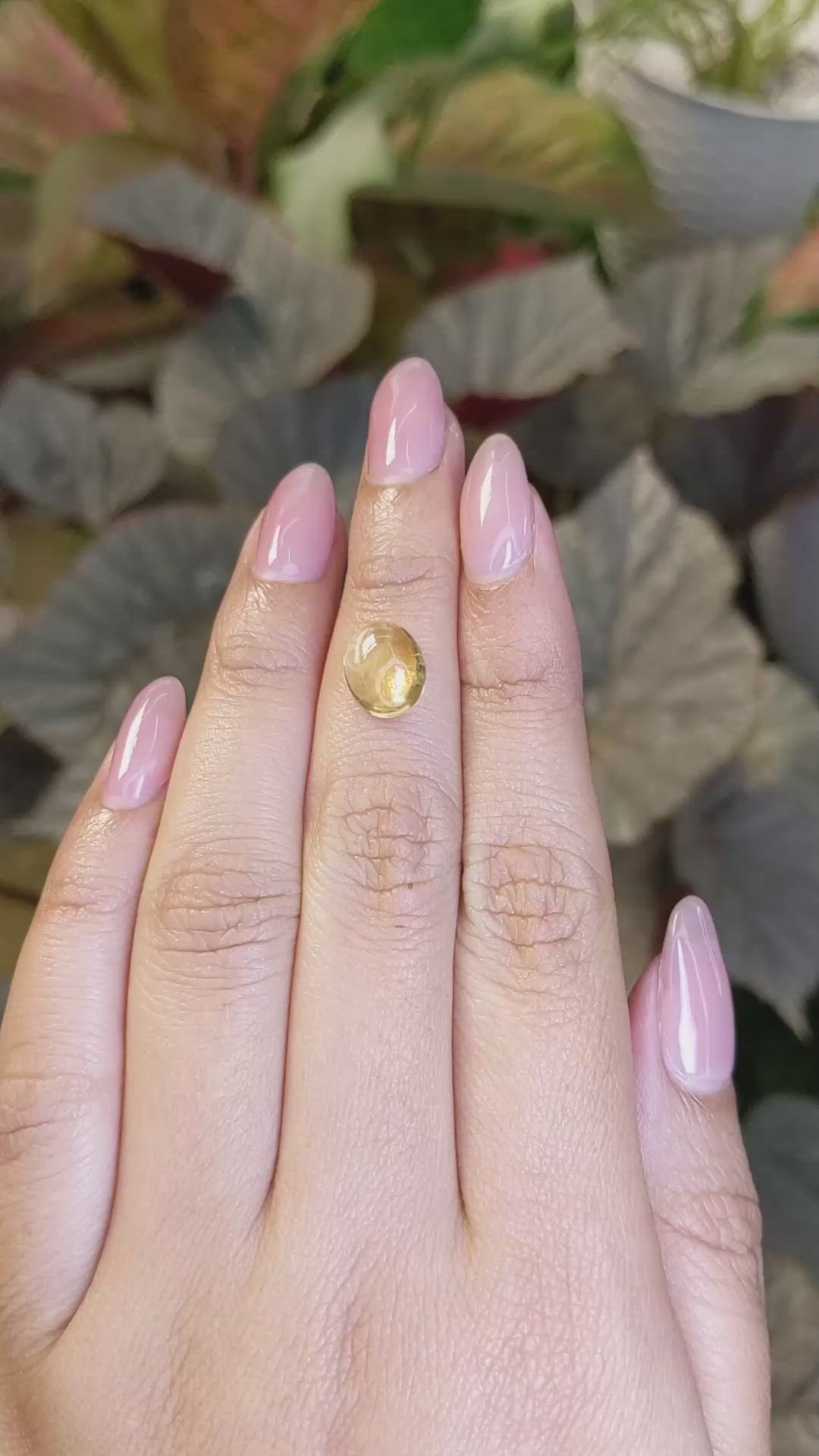 2.57 Ct. Yellow Cabochon Citrine from Ceylon (Sri Lanka) Size Video