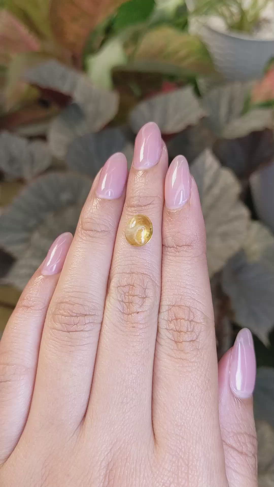 1.86 Ct. Yellow Cabochon Citrine from Ceylon (Sri Lanka) Size Video