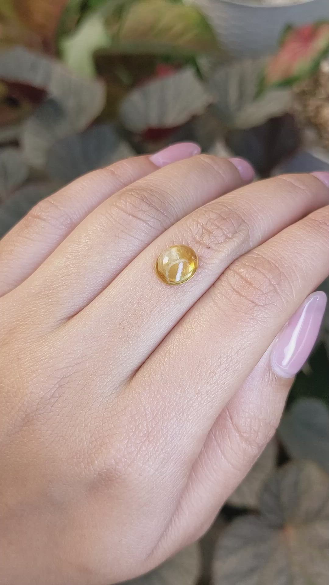 1.86 Ct. Yellow Cabochon Citrine from Ceylon (Sri Lanka) Size Video