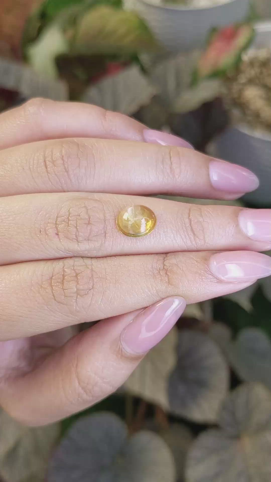 1.86 Ct. Yellow Cabochon Citrine from Ceylon (Sri Lanka) Size Video