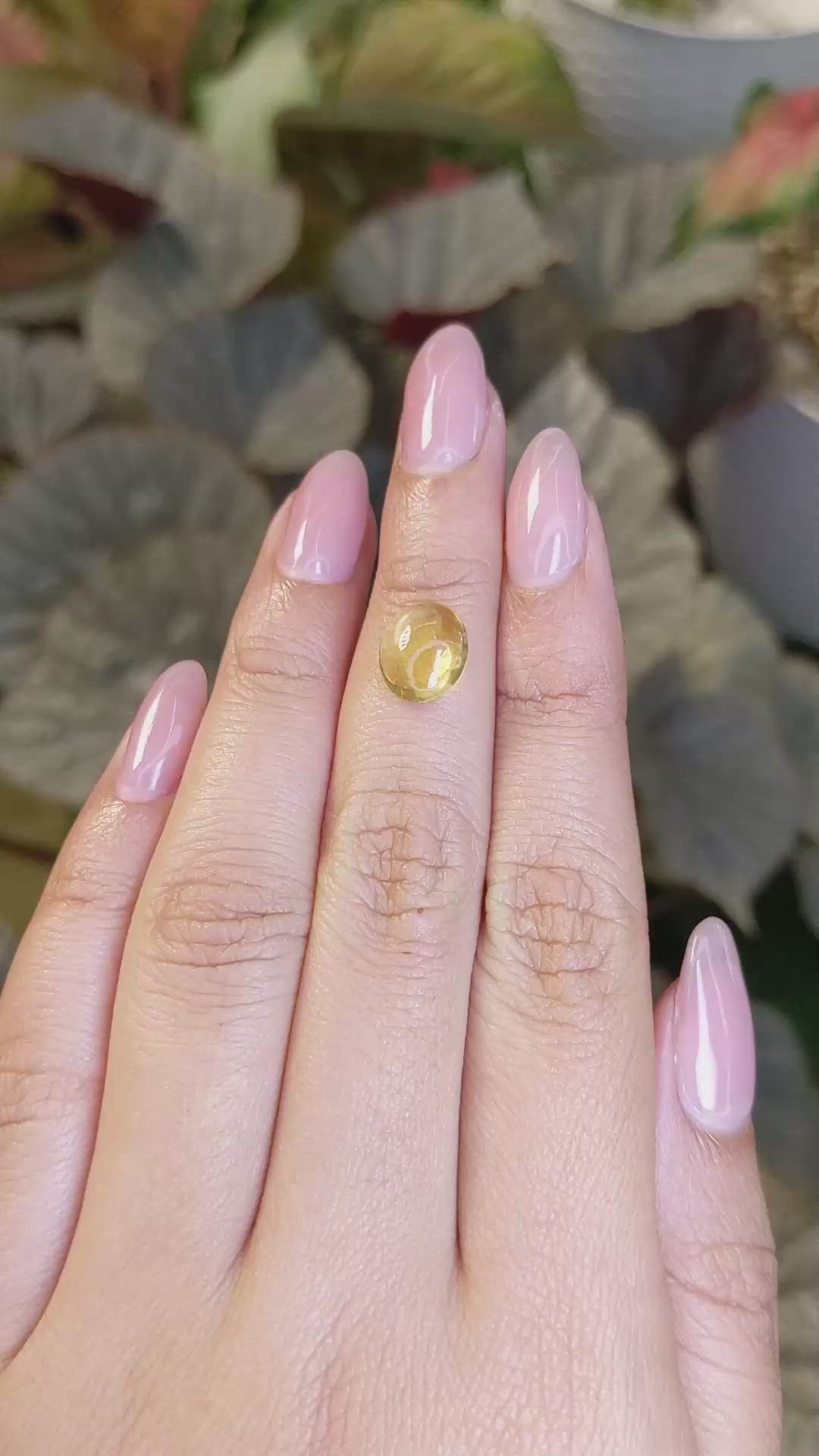 2.46 Ct. Yellow Cabochon Citrine from Ceylon (Sri Lanka) Size Video