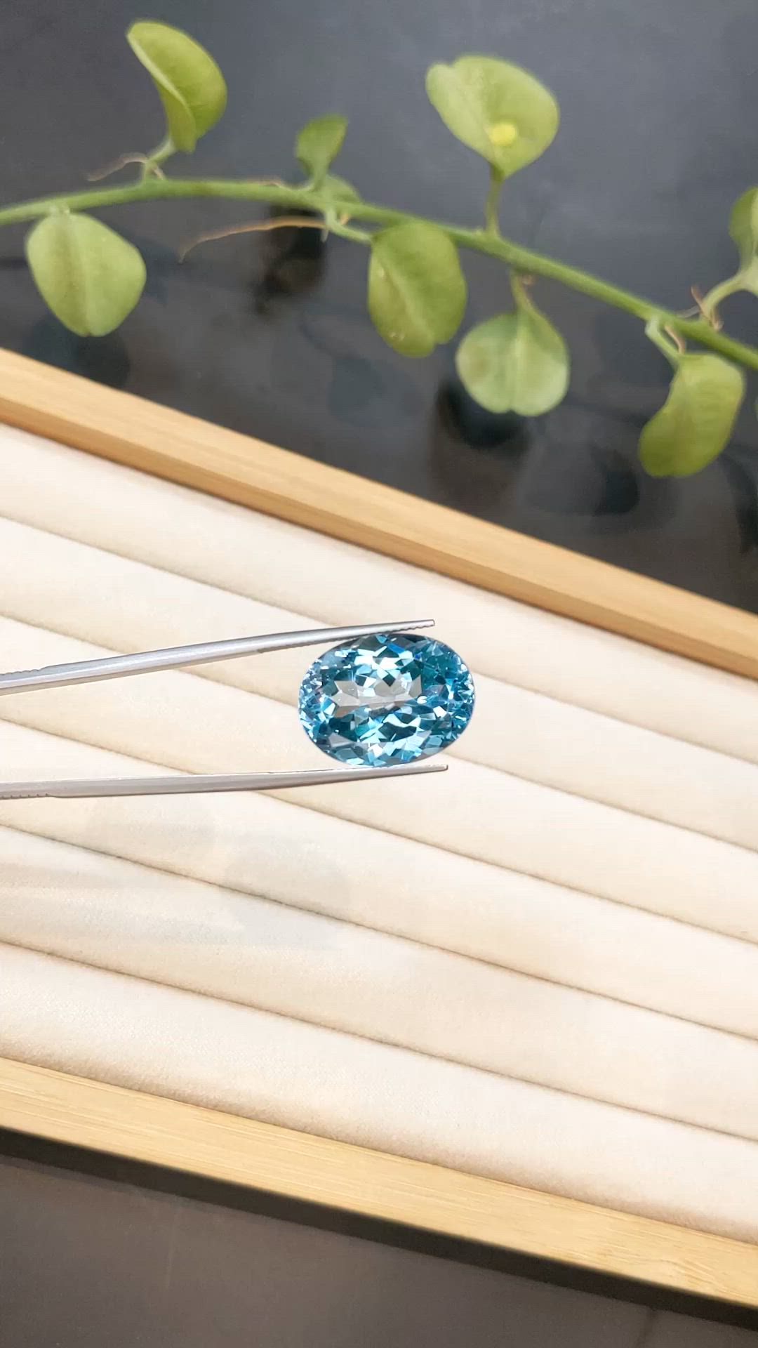 26.64 Ct. Blue Topaz from Brazil Size Video