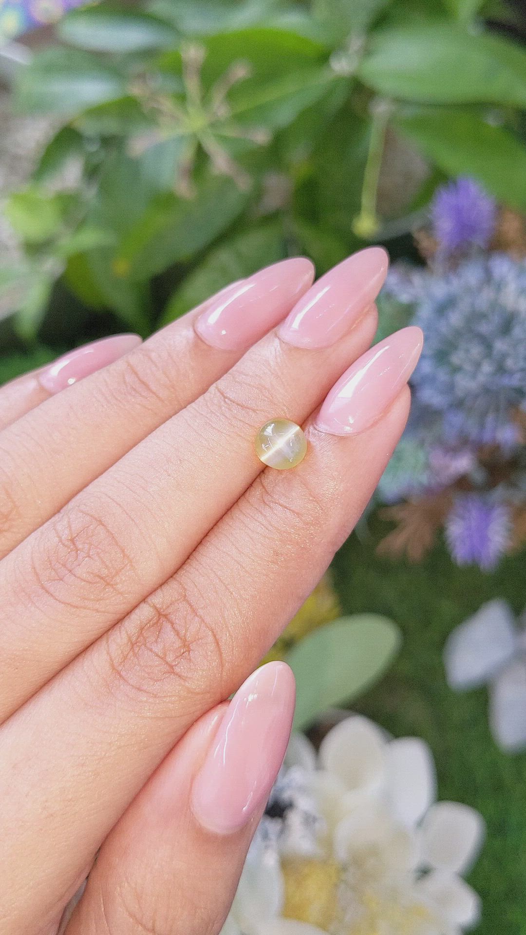 1.55 Ct. Yellowish Green Cabochon Chrysoberyl from Tanzania Size Video