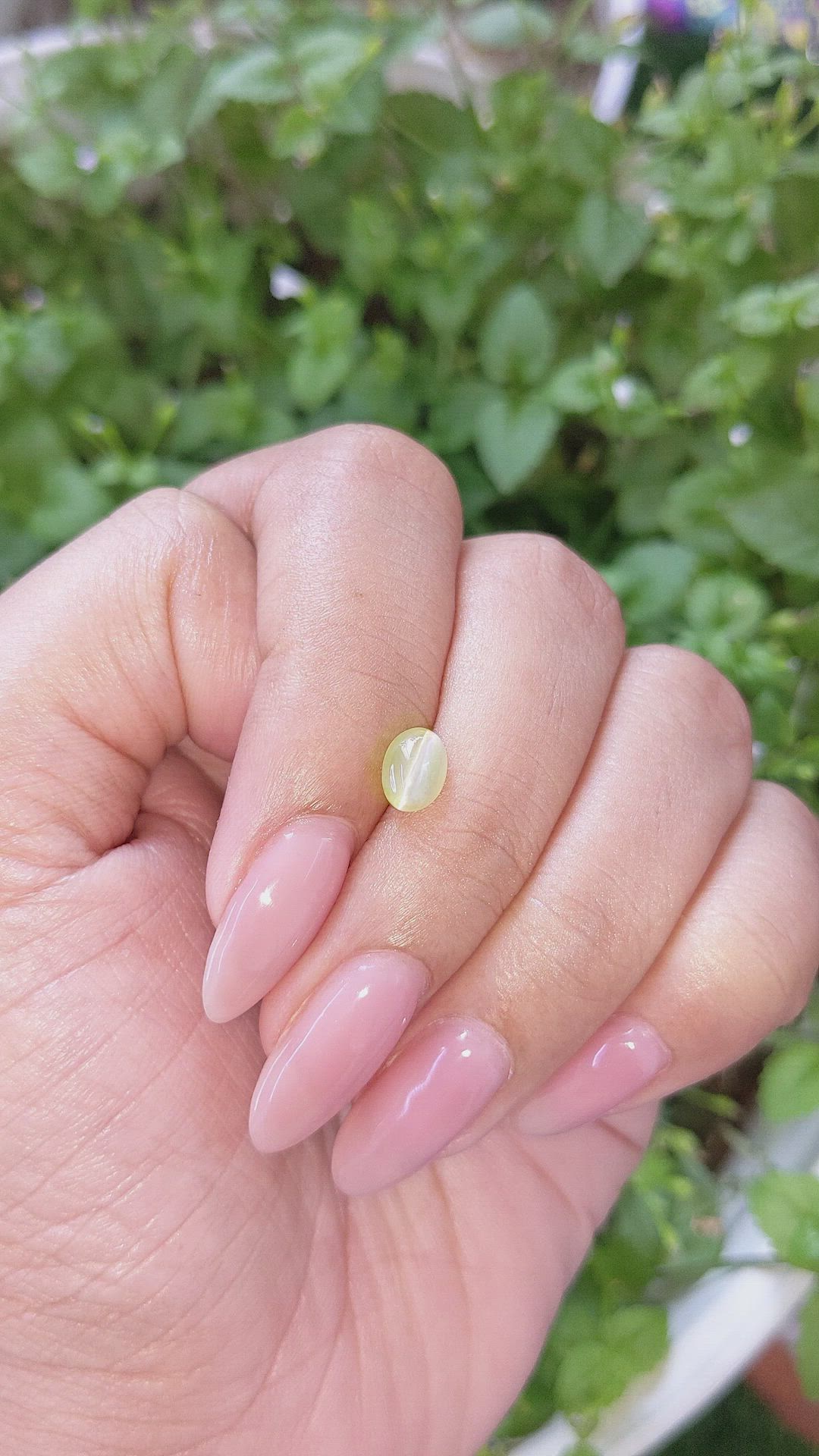 1.36 Ct. Greenish Yellow Cabochon Chrysoberyl from Tanzania Size Video