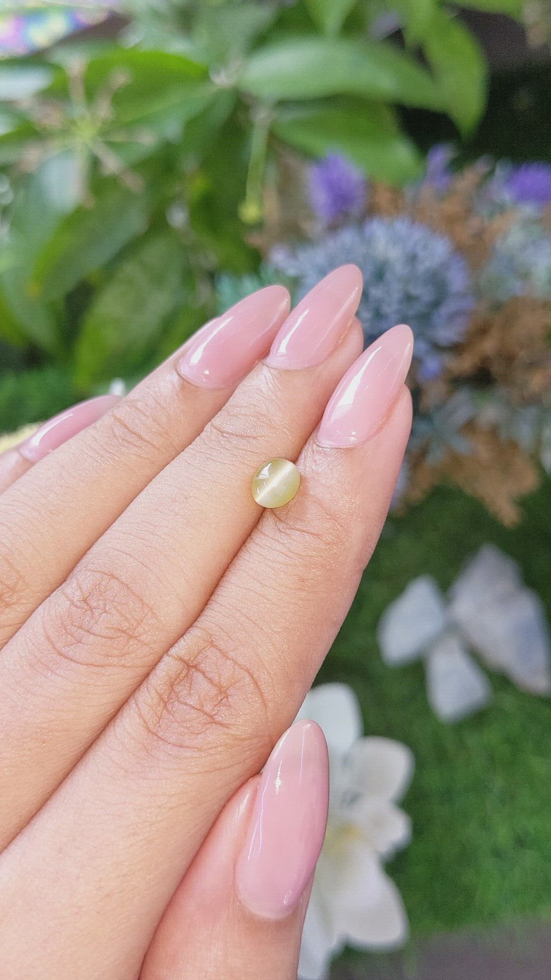 1.28 Ct. Greenish Yellow Cabochon Chrysoberyl from Tanzania Size Video