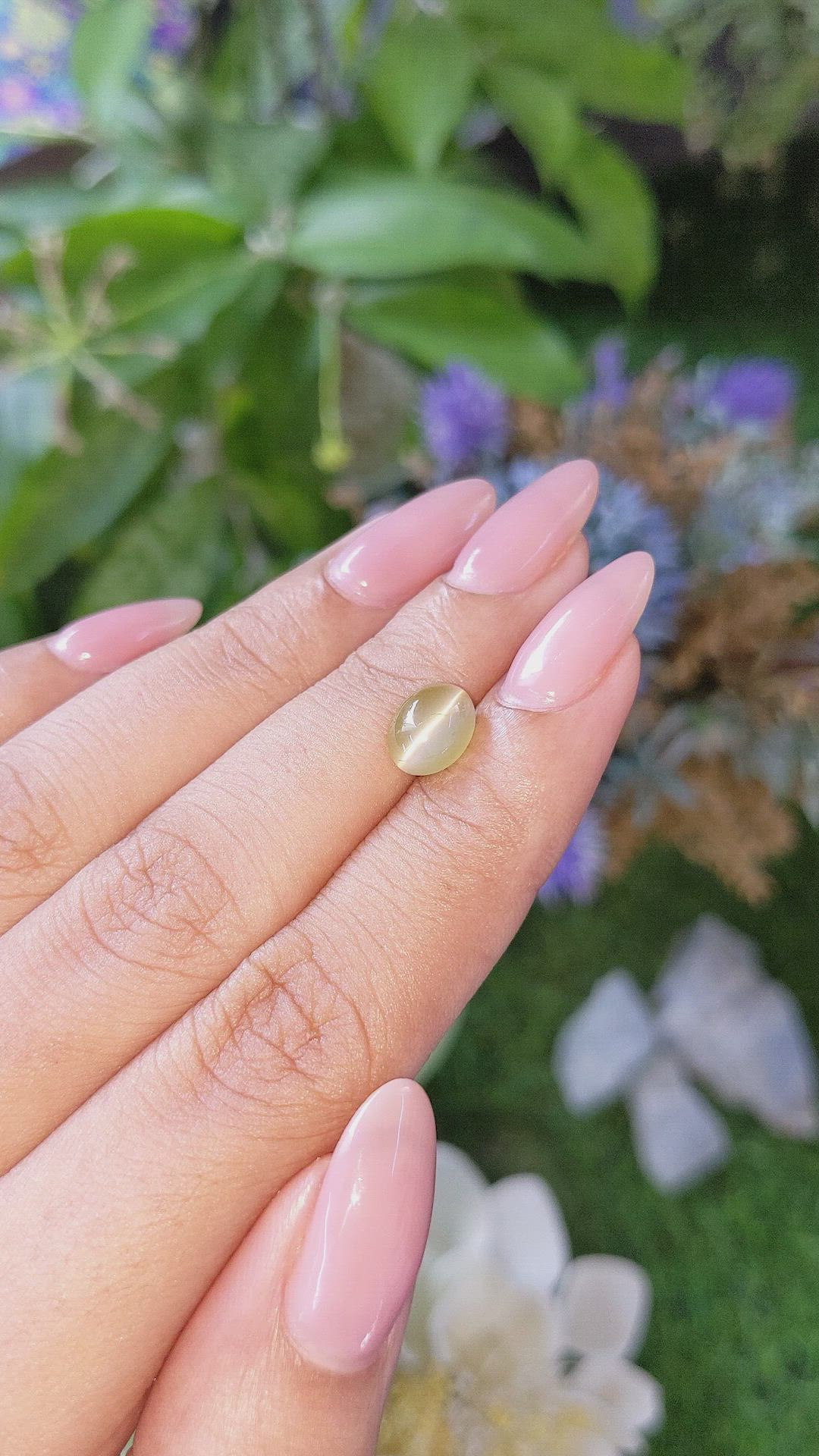 2.37 Ct. Greenish Brown Cabochon Chrysoberyl from Tanzania Size Video