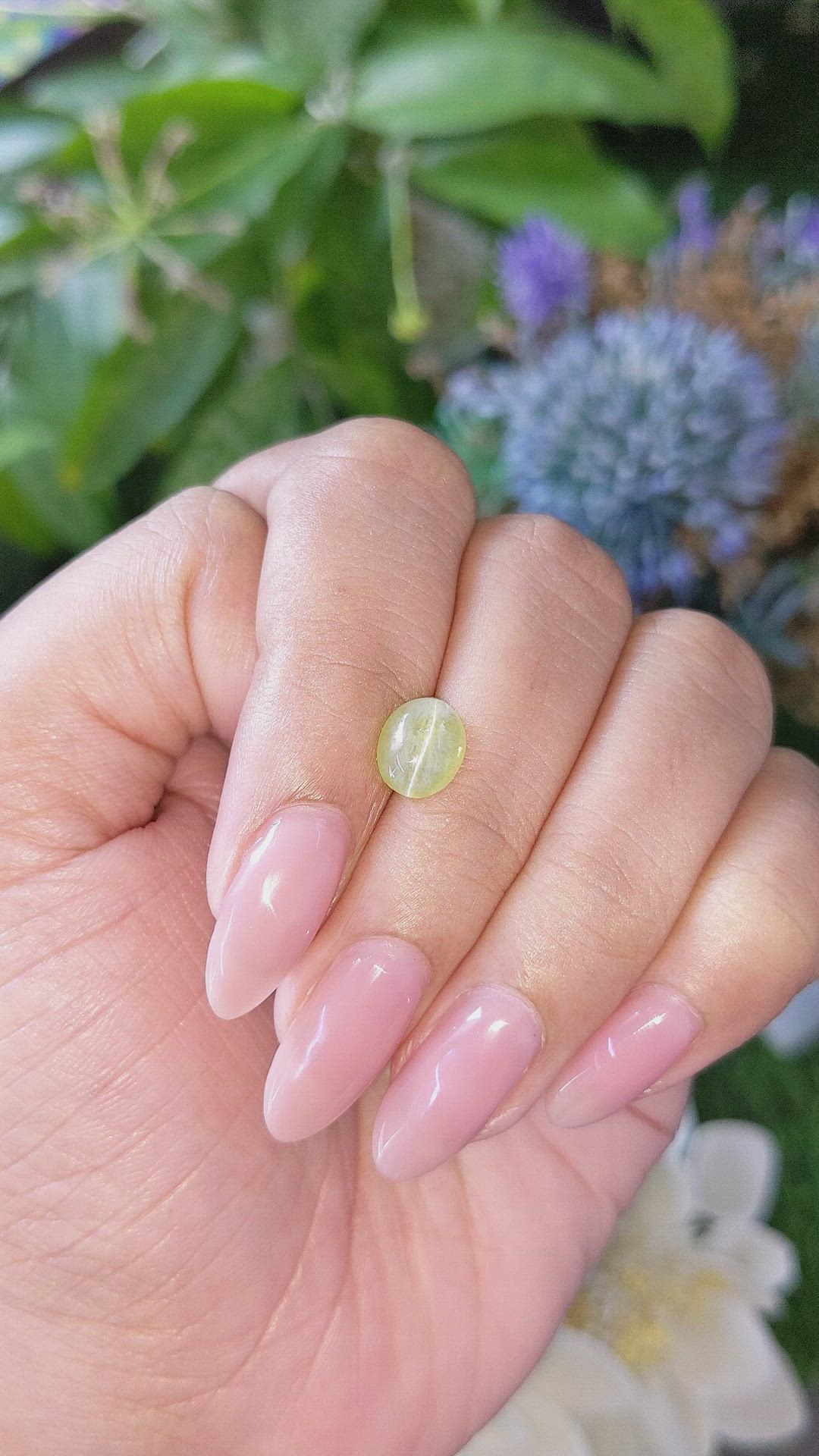 1.88 Ct. Yellowish Green Cabochon Chrysoberyl from Tanzania Size Video