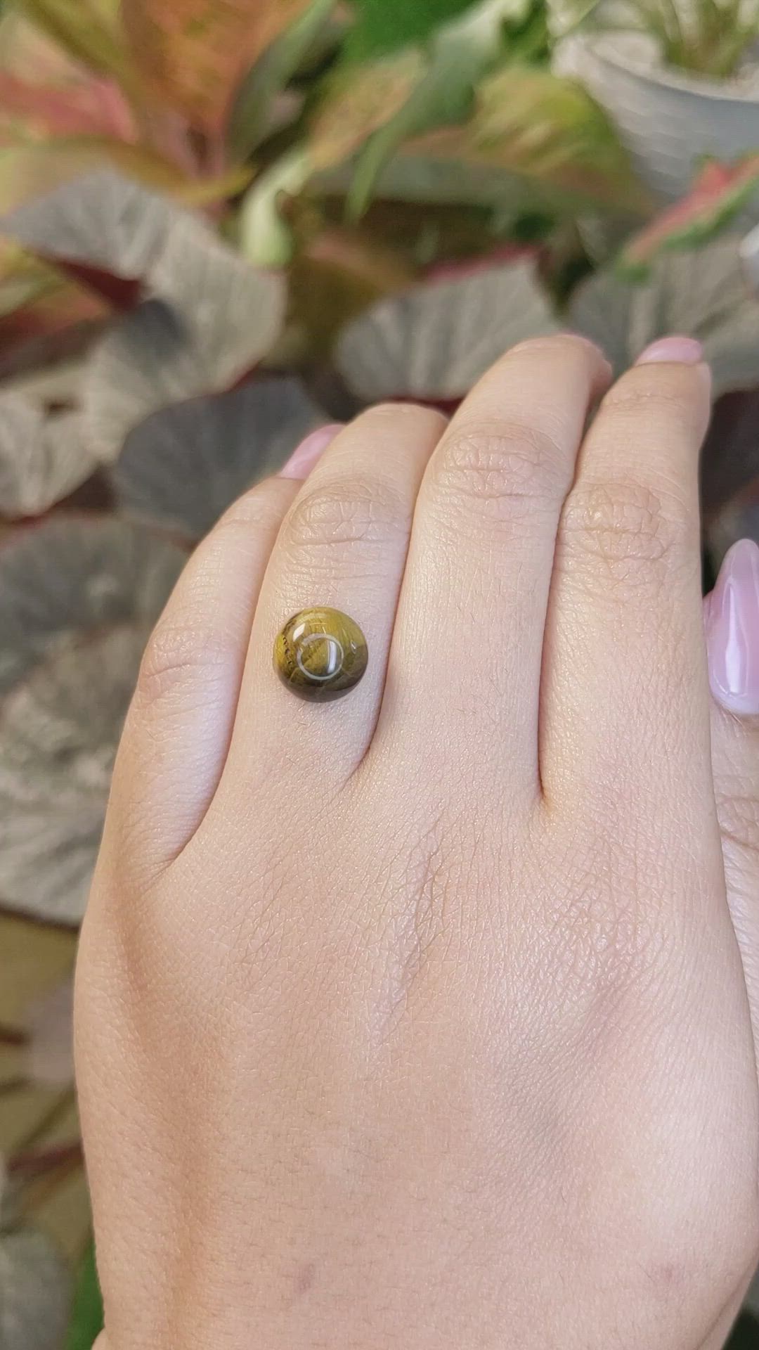 4.48 Ct. Cabochon Tiger's Eye from South Africa Size Video