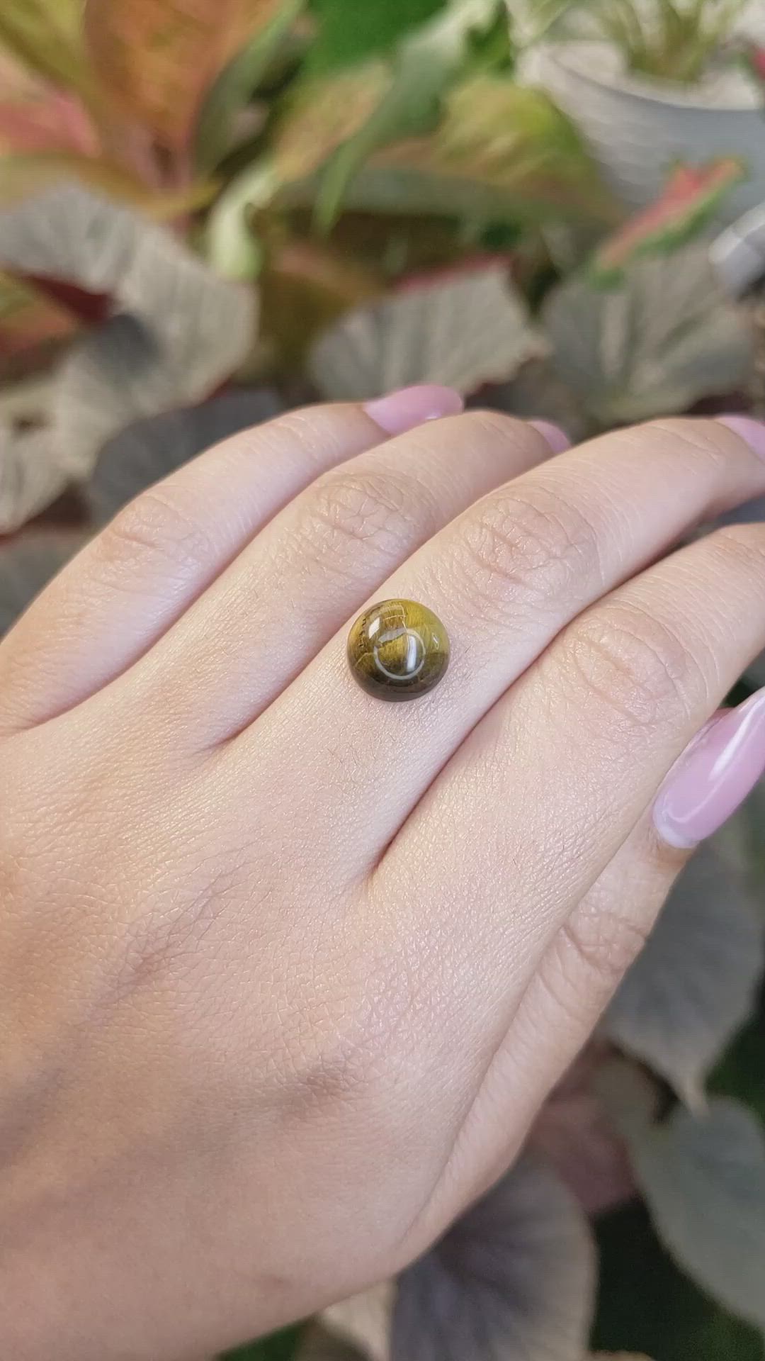 4.48 Ct. Cabochon Tiger's Eye from South Africa Size Video