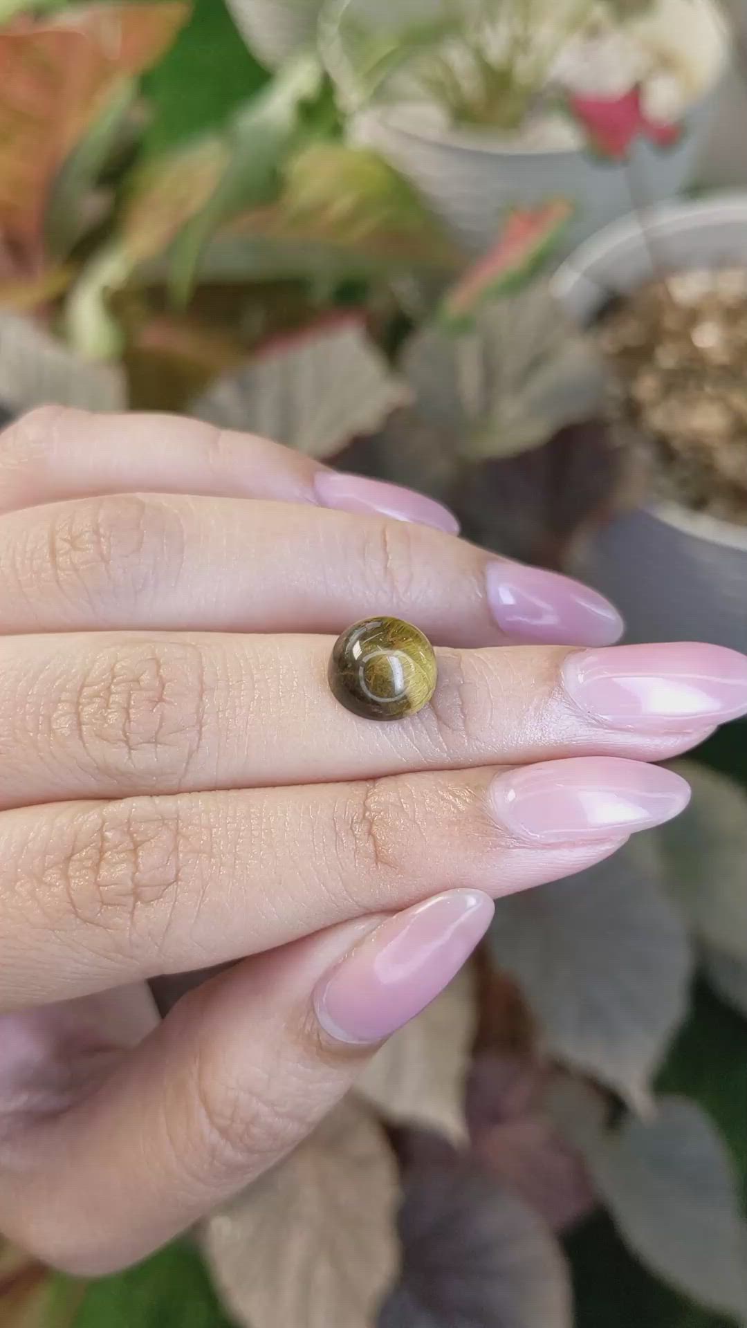 4.48 Ct. Cabochon Tiger's Eye from South Africa Size Video