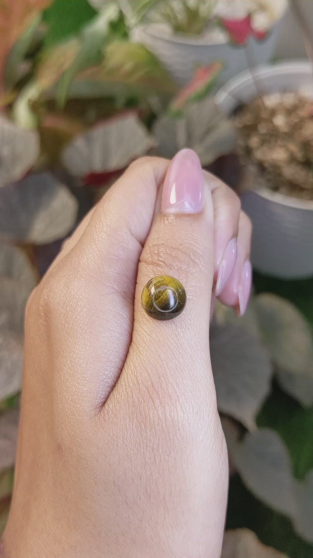 4.48 Ct. Cabochon Tiger's Eye from South Africa Size Video