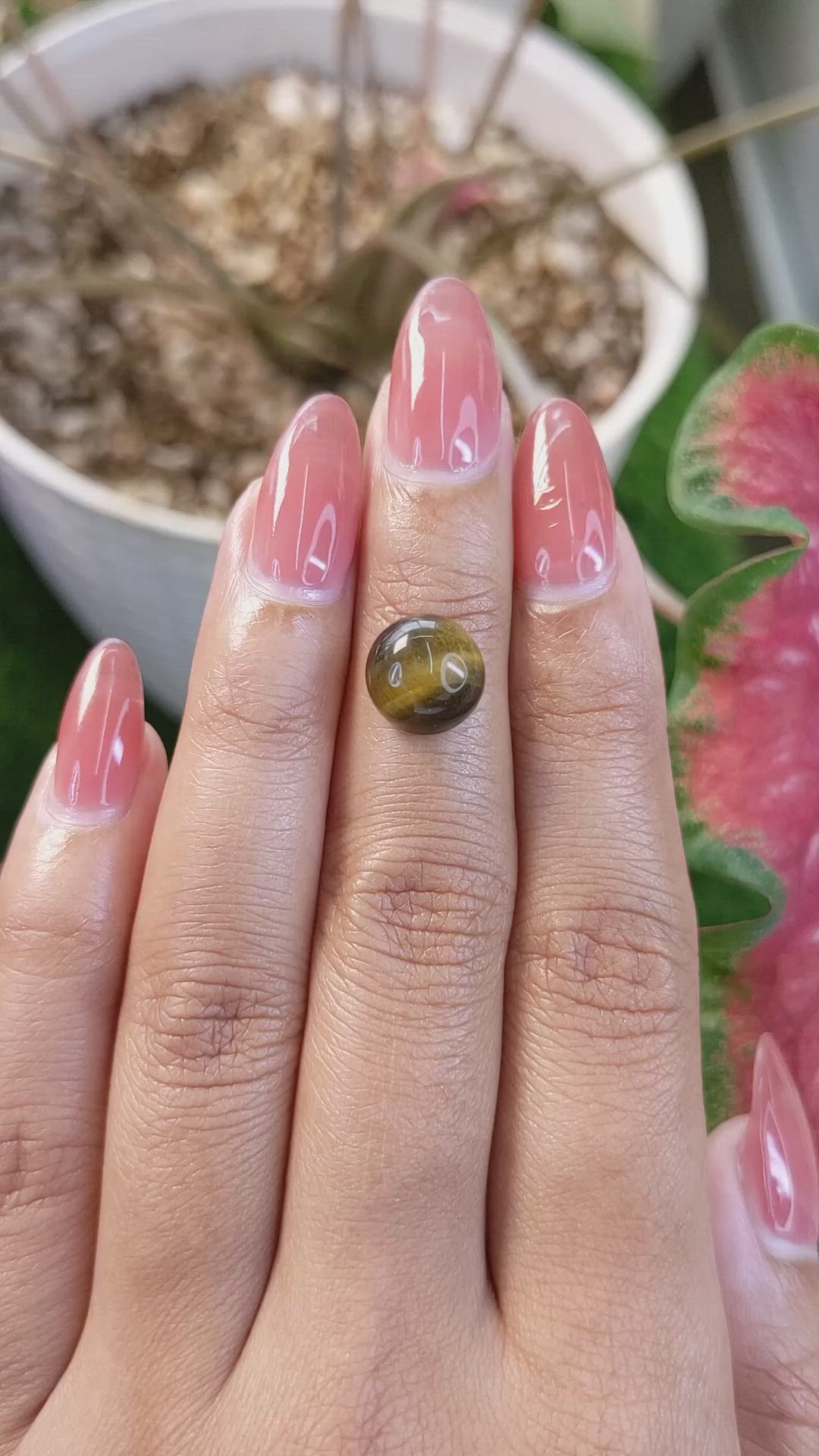 4.35 Ct. Cabochon Tiger's Eye from South Africa Size Video