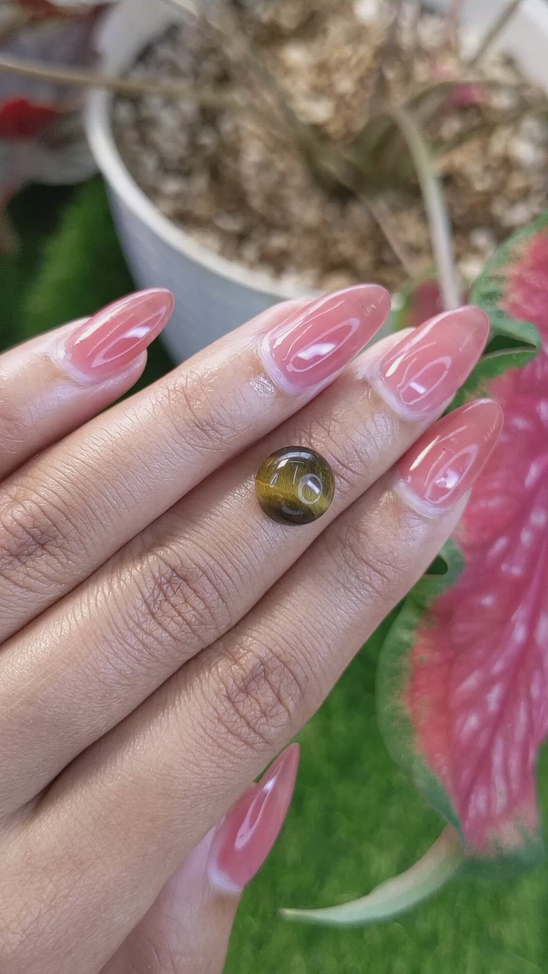 4.35 Ct. Cabochon Tiger's Eye from South Africa Size Video