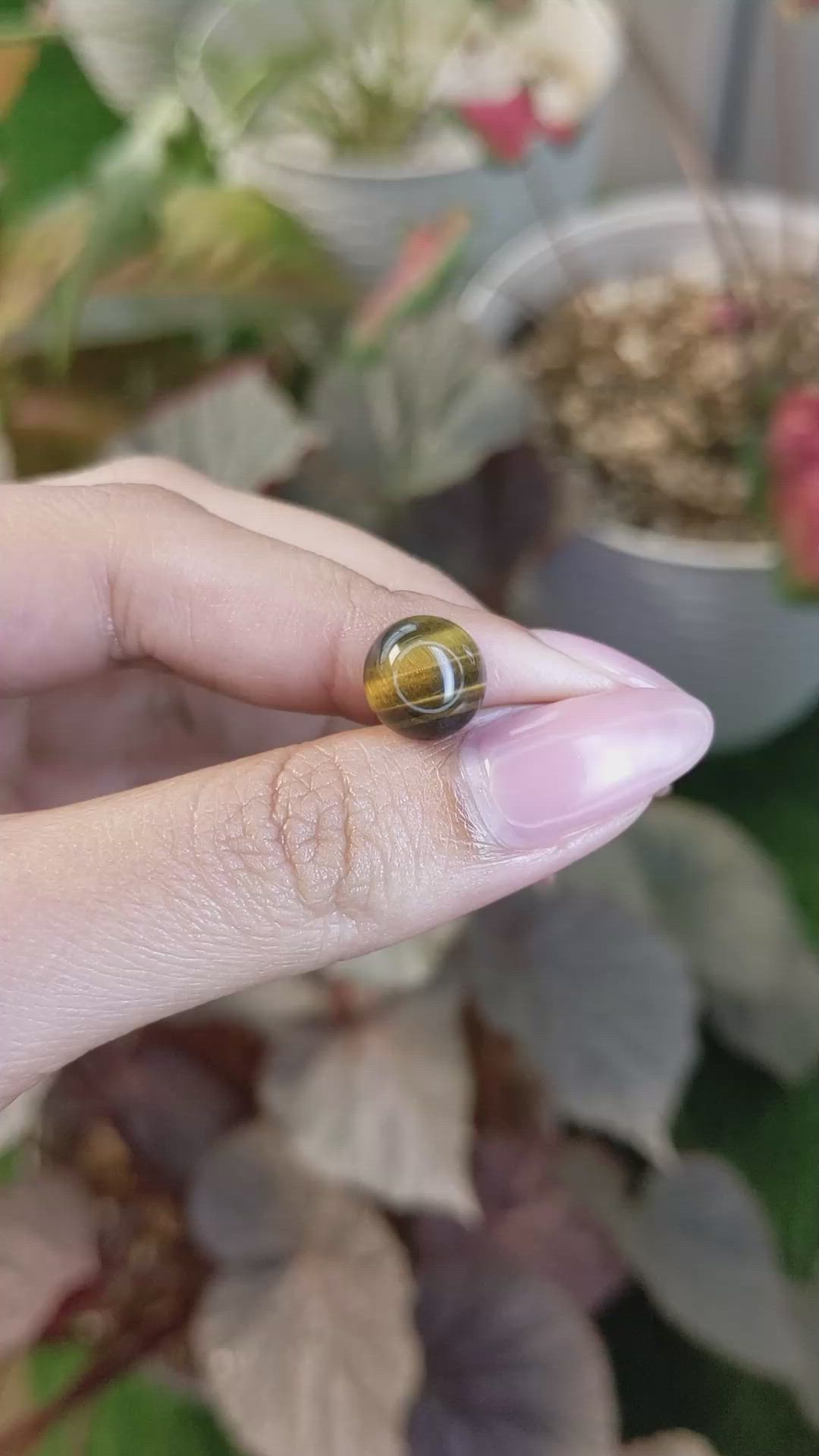 4.29 Ct. Cabochon Tiger's Eye from South Africa Size Video