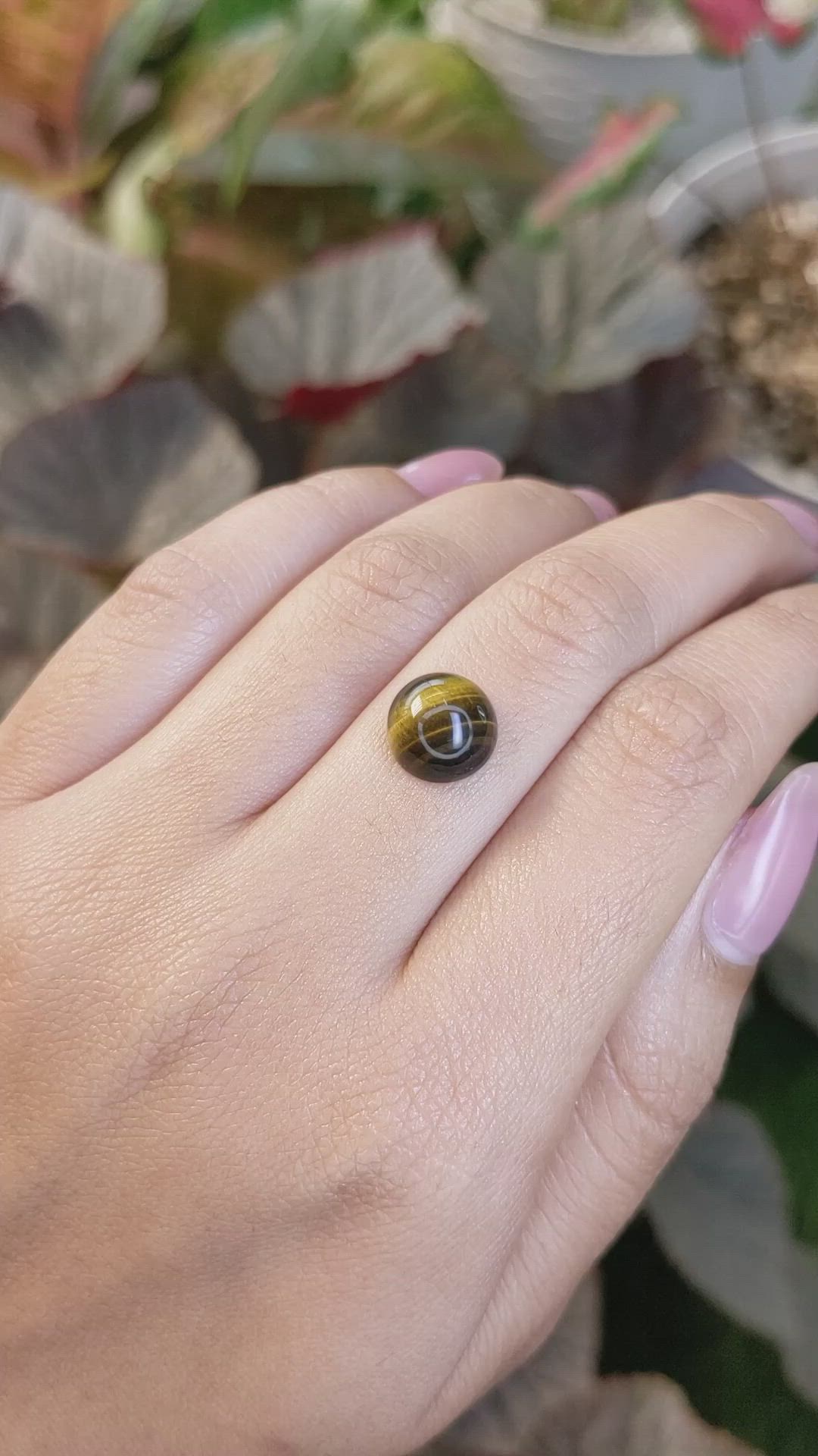 4.29 Ct. Cabochon Tiger's Eye from South Africa Size Video