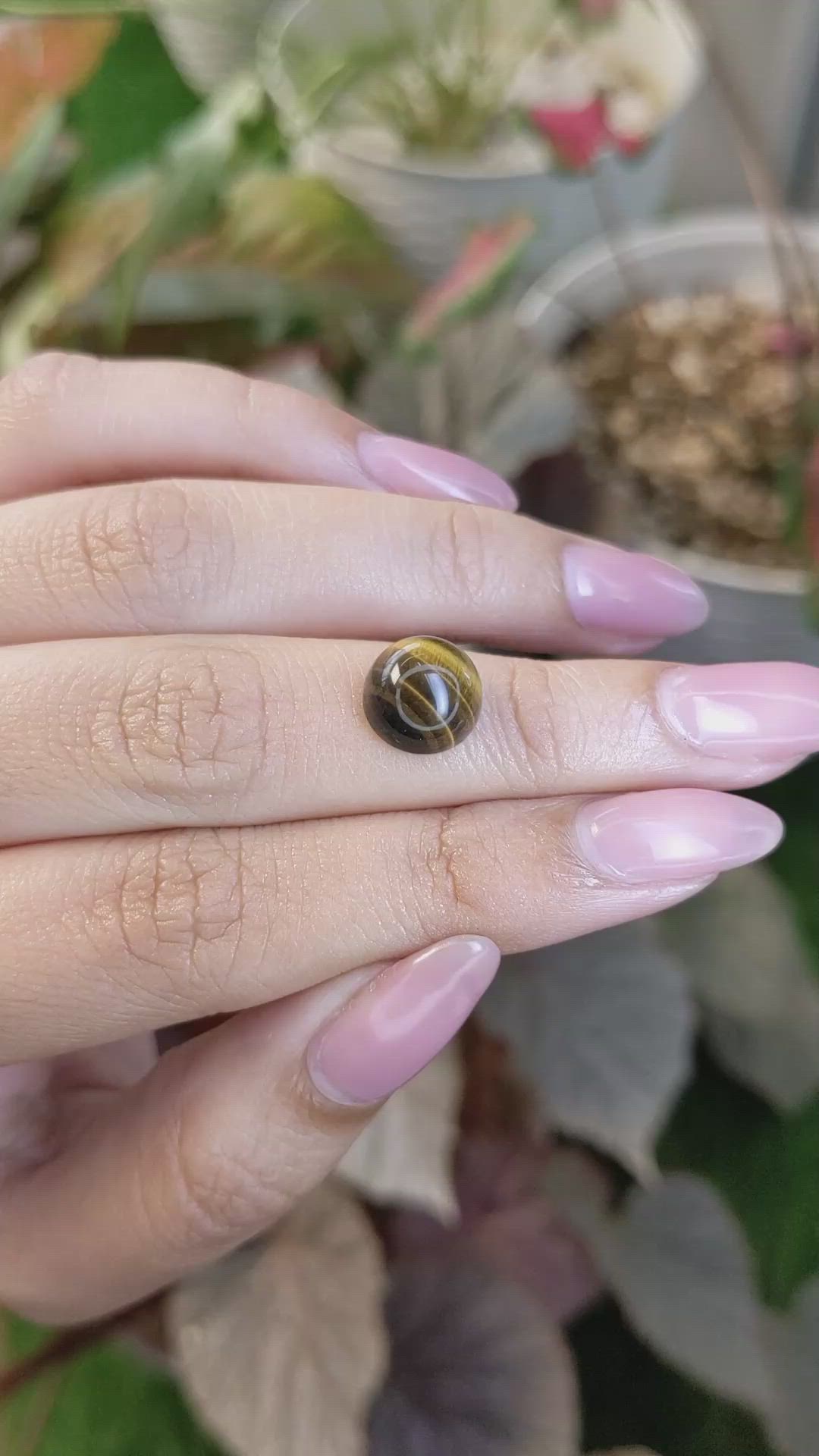 4.29 Ct. Cabochon Tiger's Eye from South Africa Size Video