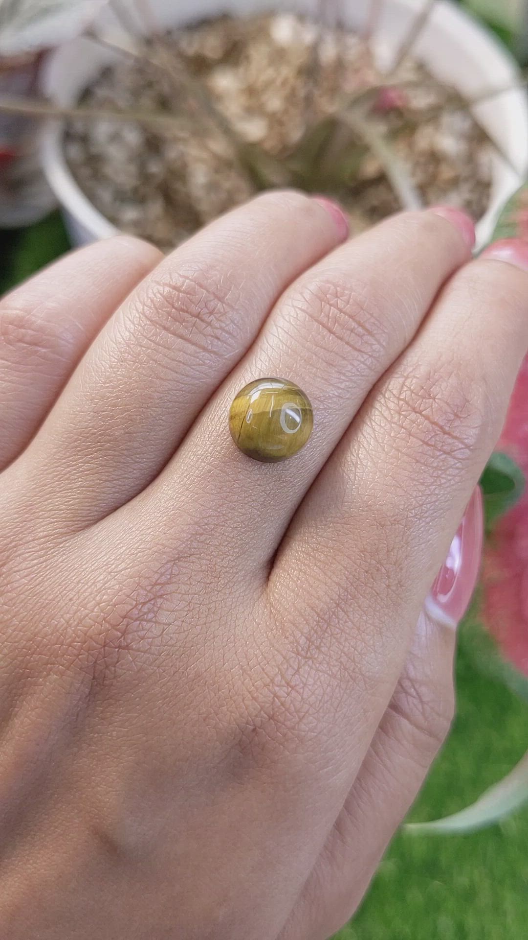 4.33 Ct. Cabochon Tiger's Eye from South Africa Size Video