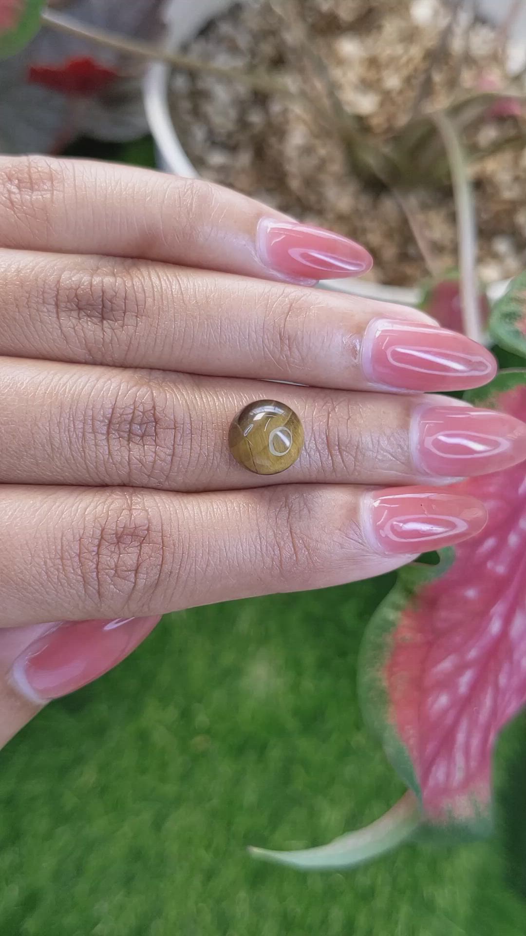 4.33 Ct. Cabochon Tiger's Eye from South Africa Size Video
