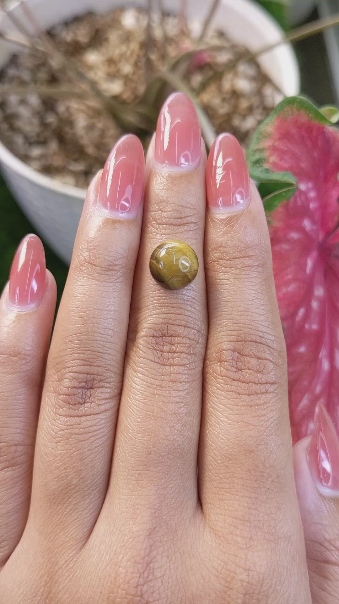 4.33 Ct. Cabochon Tiger's Eye from South Africa Size Video