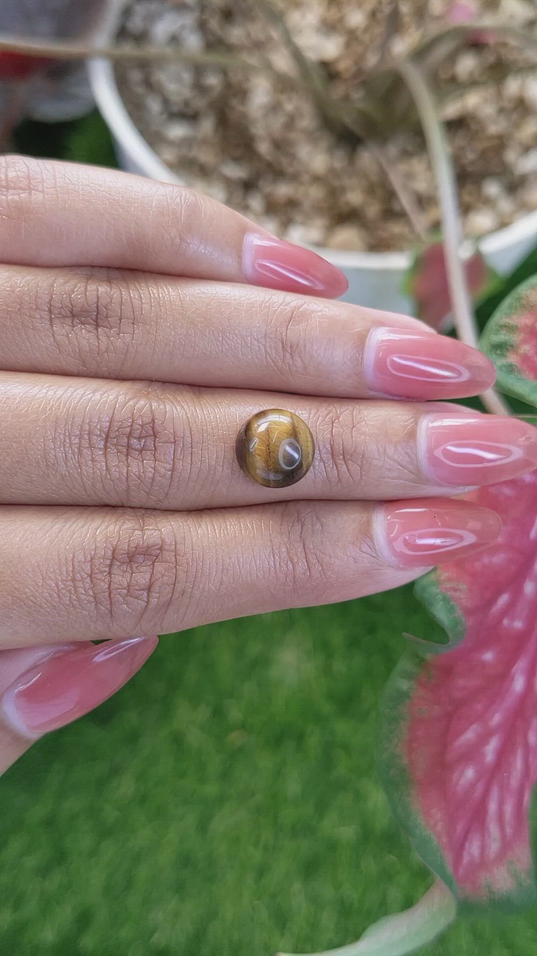 4.59 Ct. Cabochon Tiger's Eye from South Africa Size Video