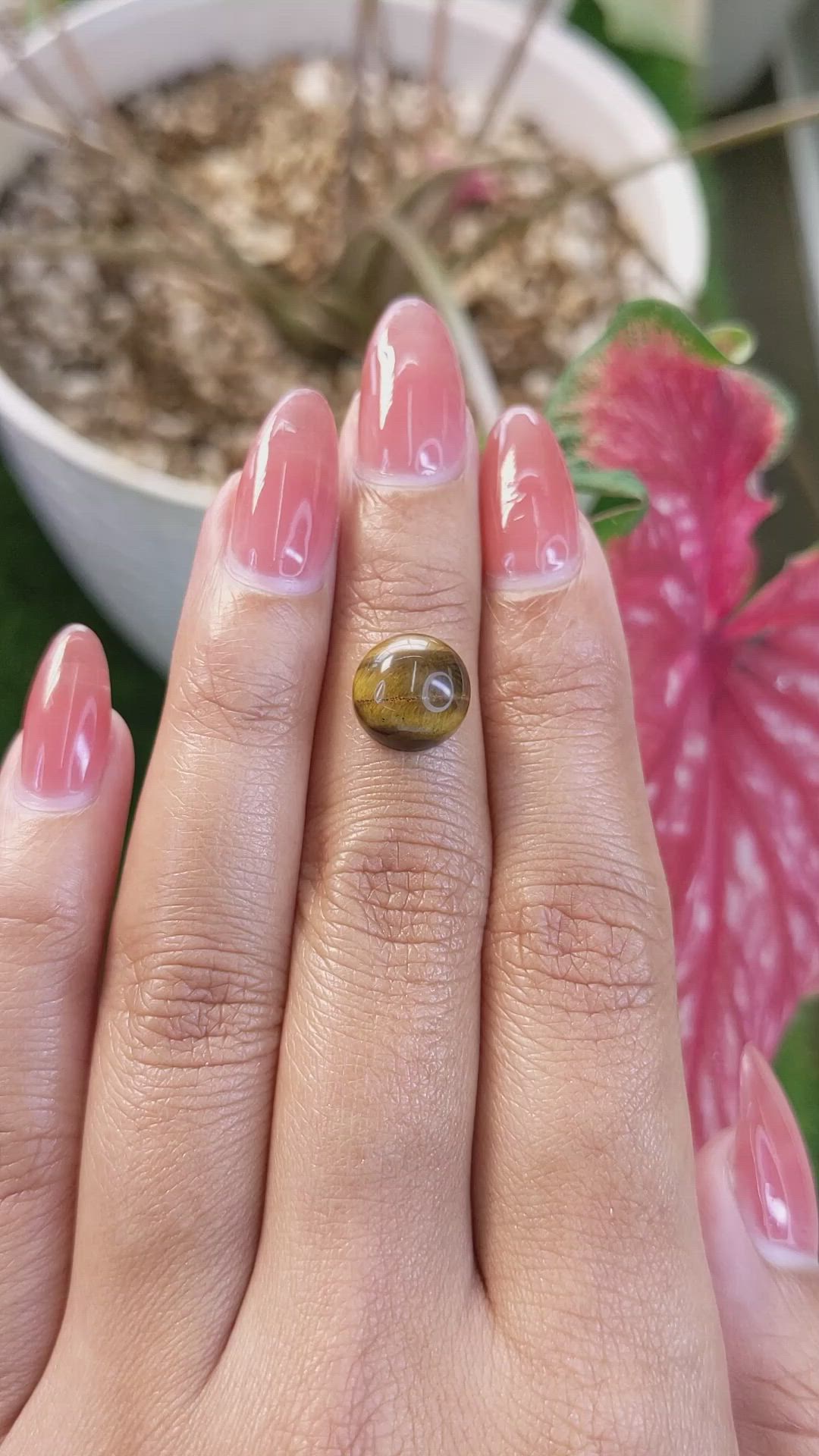 4.59 Ct. Cabochon Tiger's Eye from South Africa Size Video