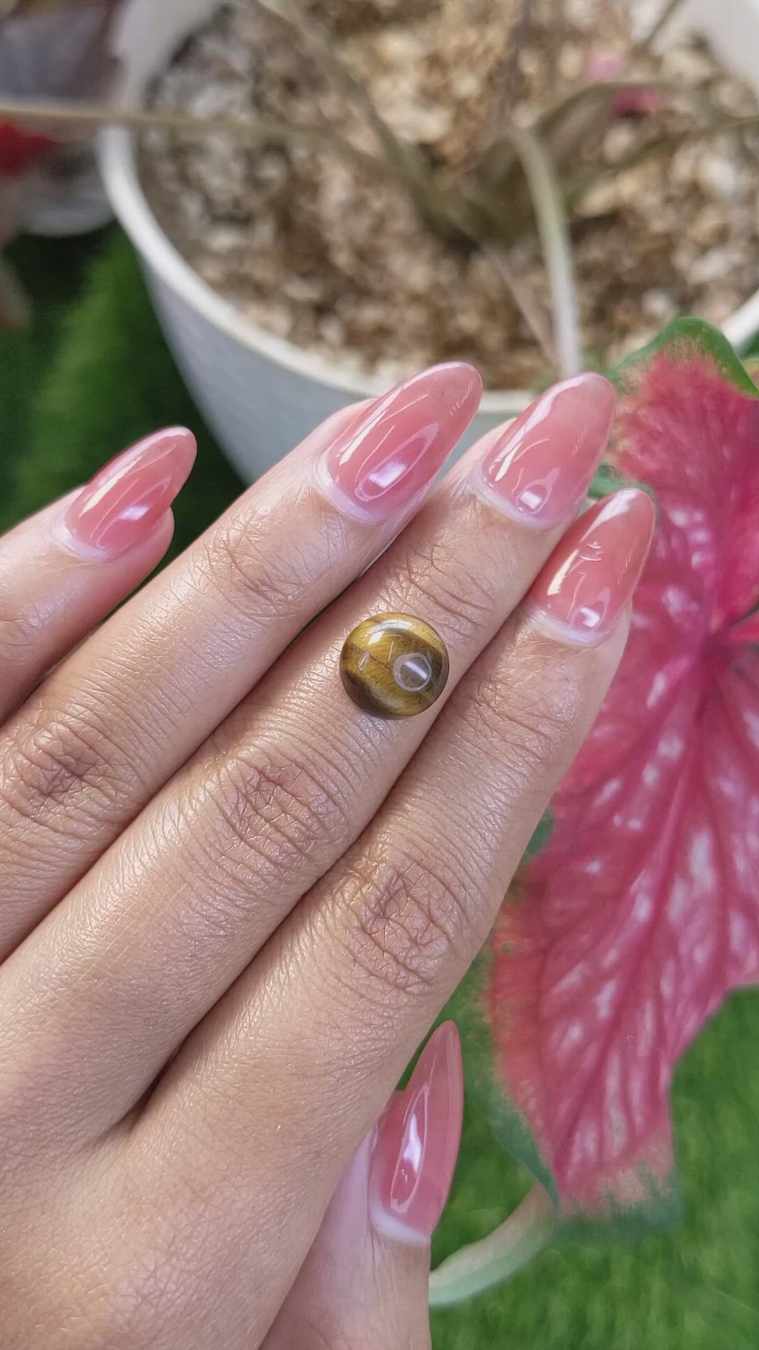 4.59 Ct. Cabochon Tiger's Eye from South Africa Size Video