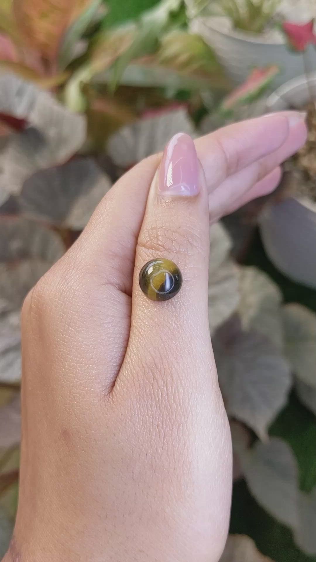 4.39 Ct. Cabochon Tiger's Eye from South Africa Size Video