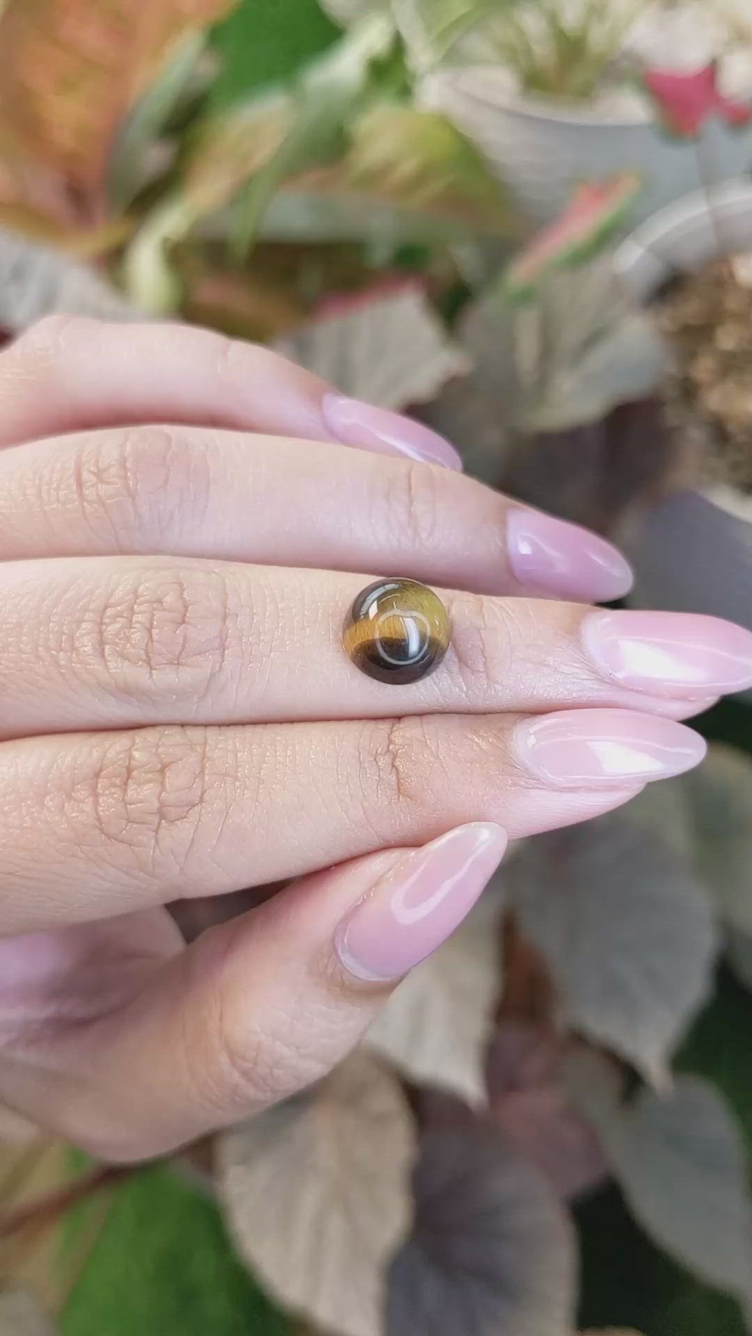 4.39 Ct. Cabochon Tiger's Eye from South Africa Size Video