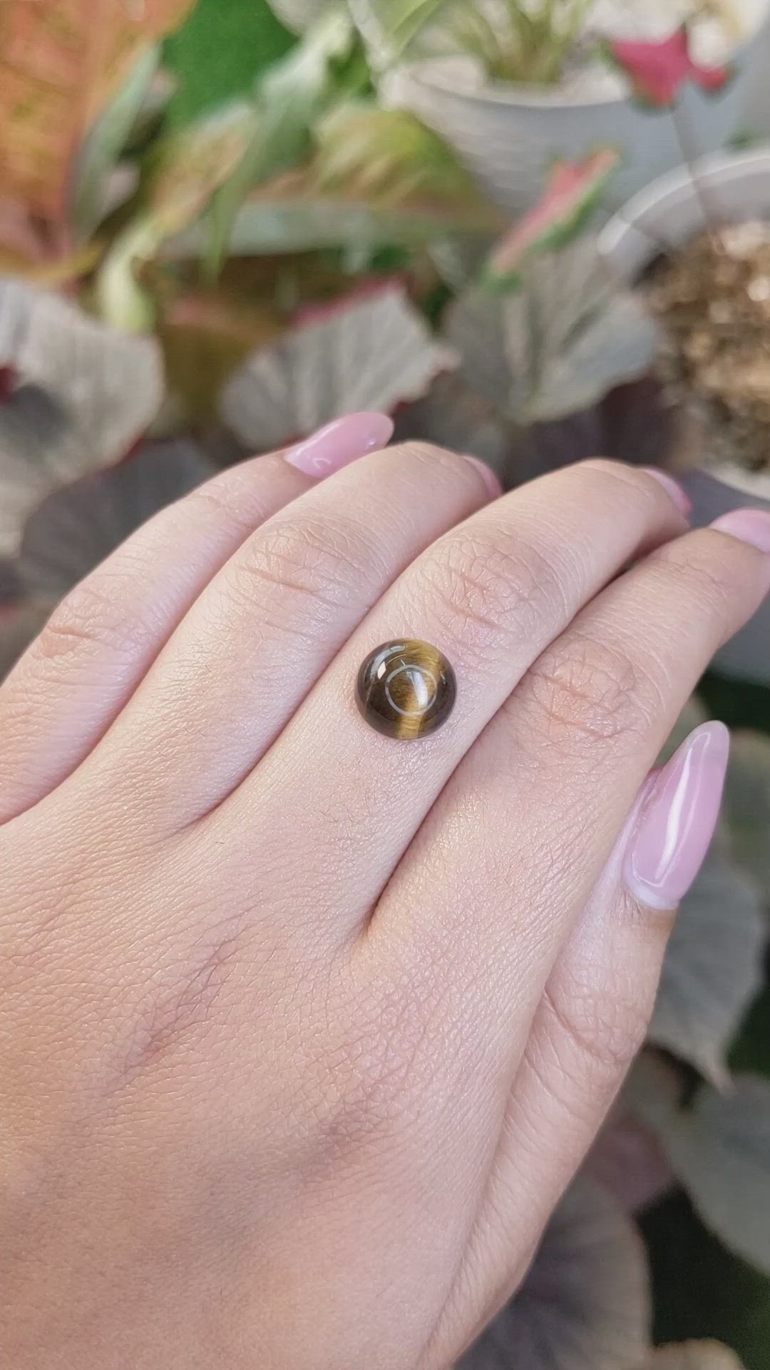 4.39 Ct. Cabochon Tiger's Eye from South Africa Size Video