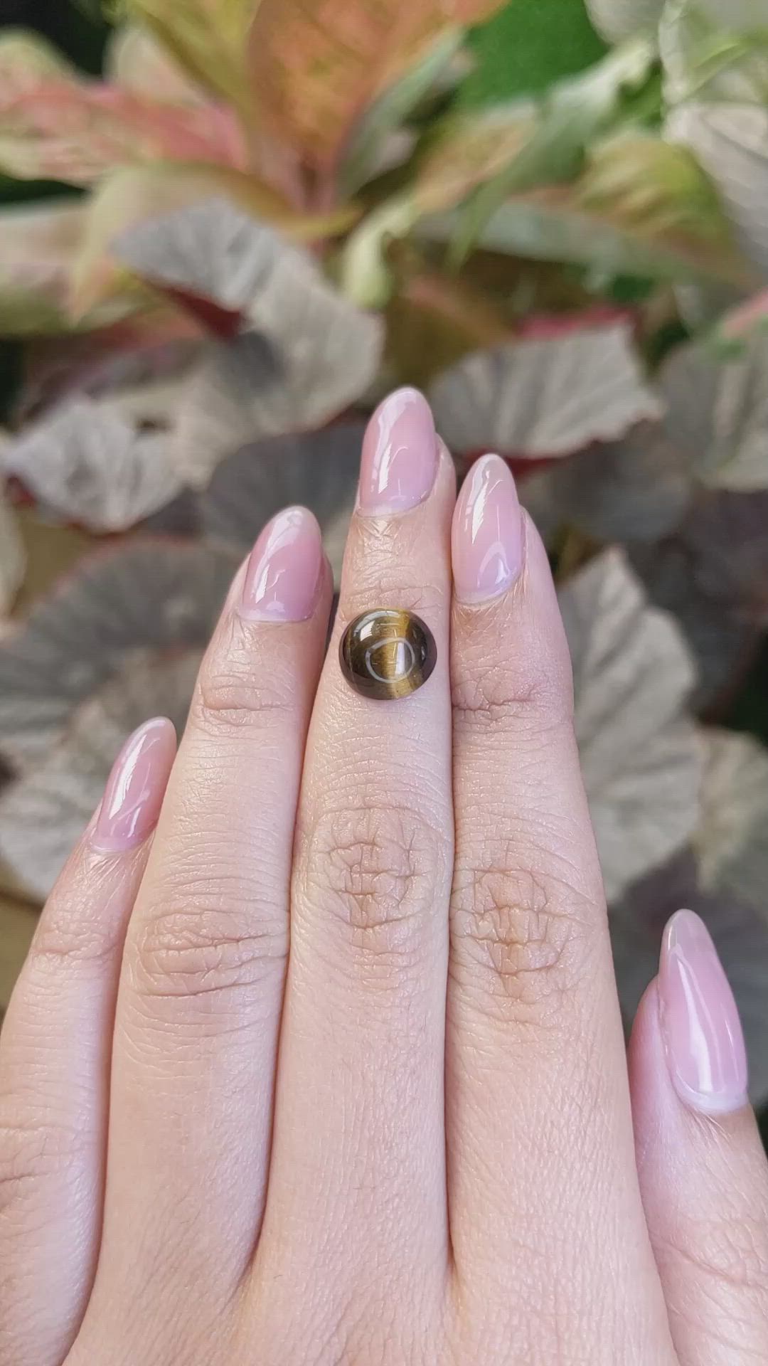 4.39 Ct. Cabochon Tiger's Eye from South Africa Size Video