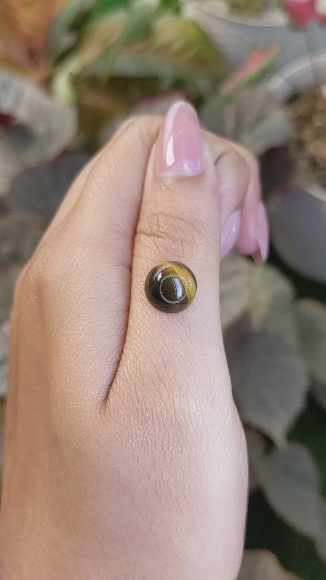 4.36 Ct. Cabochon Tiger's Eye from South Africa Size Video