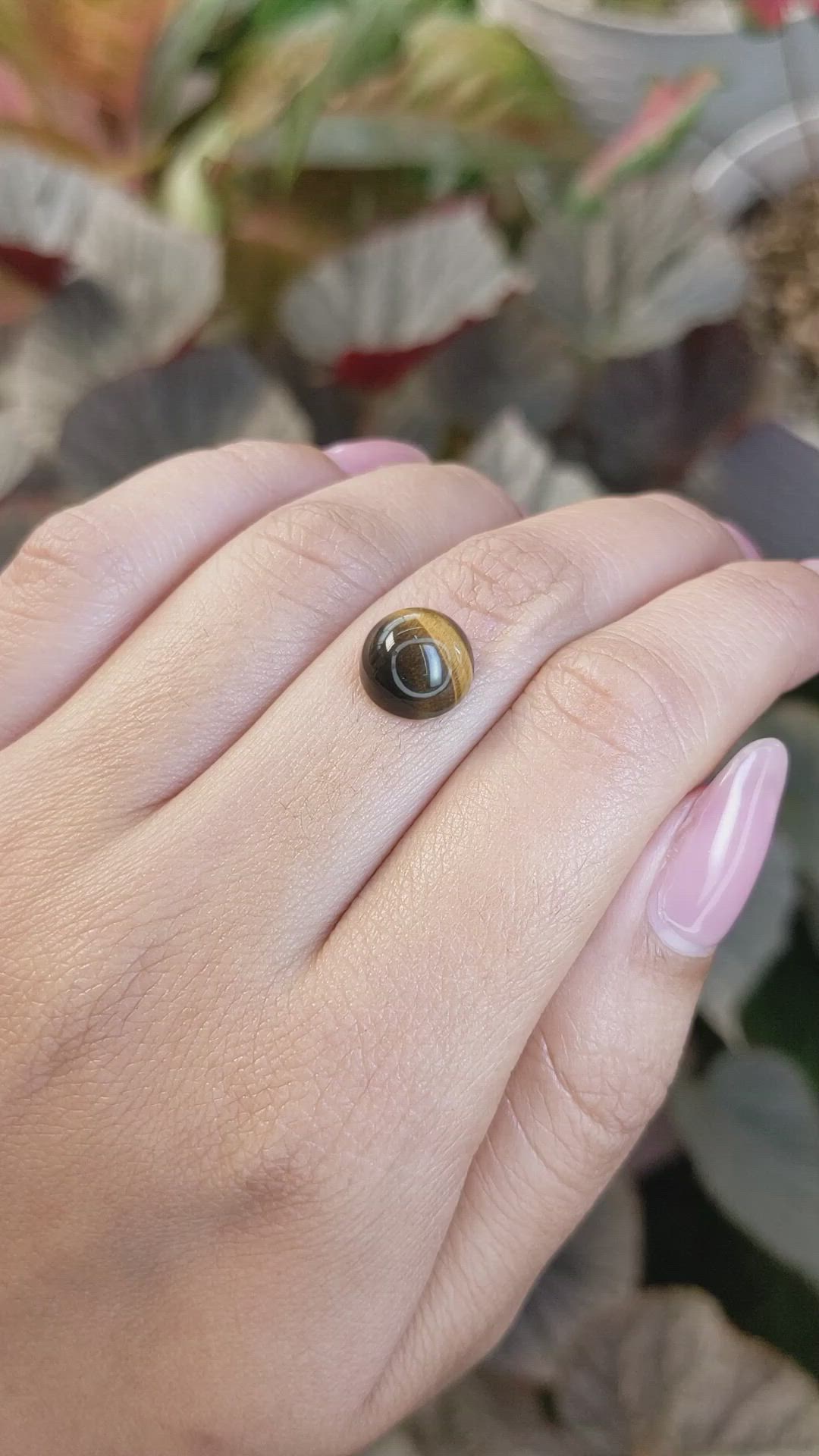 4.36 Ct. Cabochon Tiger's Eye from South Africa Size Video