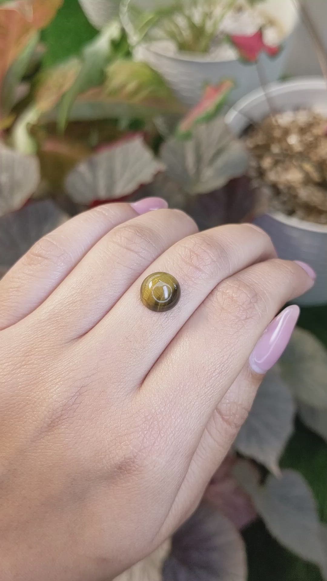 4.42 Ct. Cabochon Tiger's Eye from South Africa Size Video