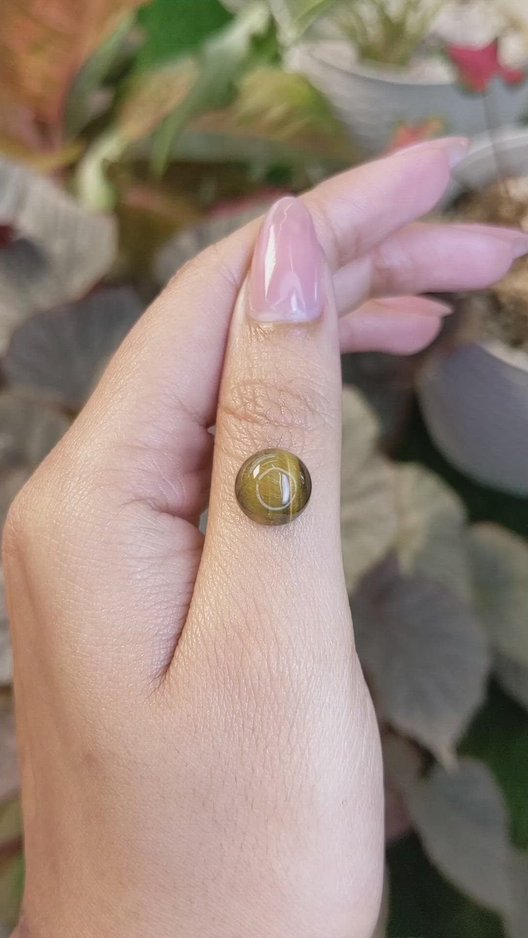 4.42 Ct. Cabochon Tiger's Eye from South Africa Size Video