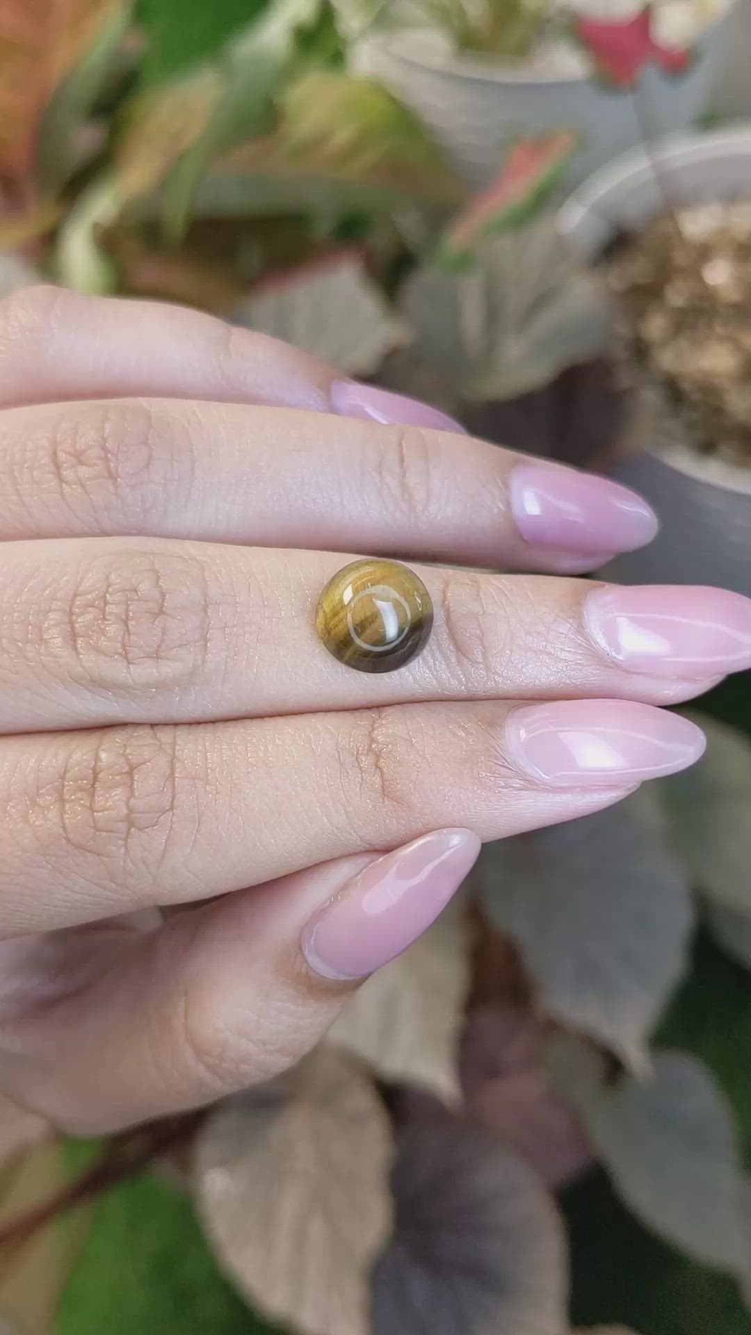 4.42 Ct. Cabochon Tiger's Eye from South Africa Size Video