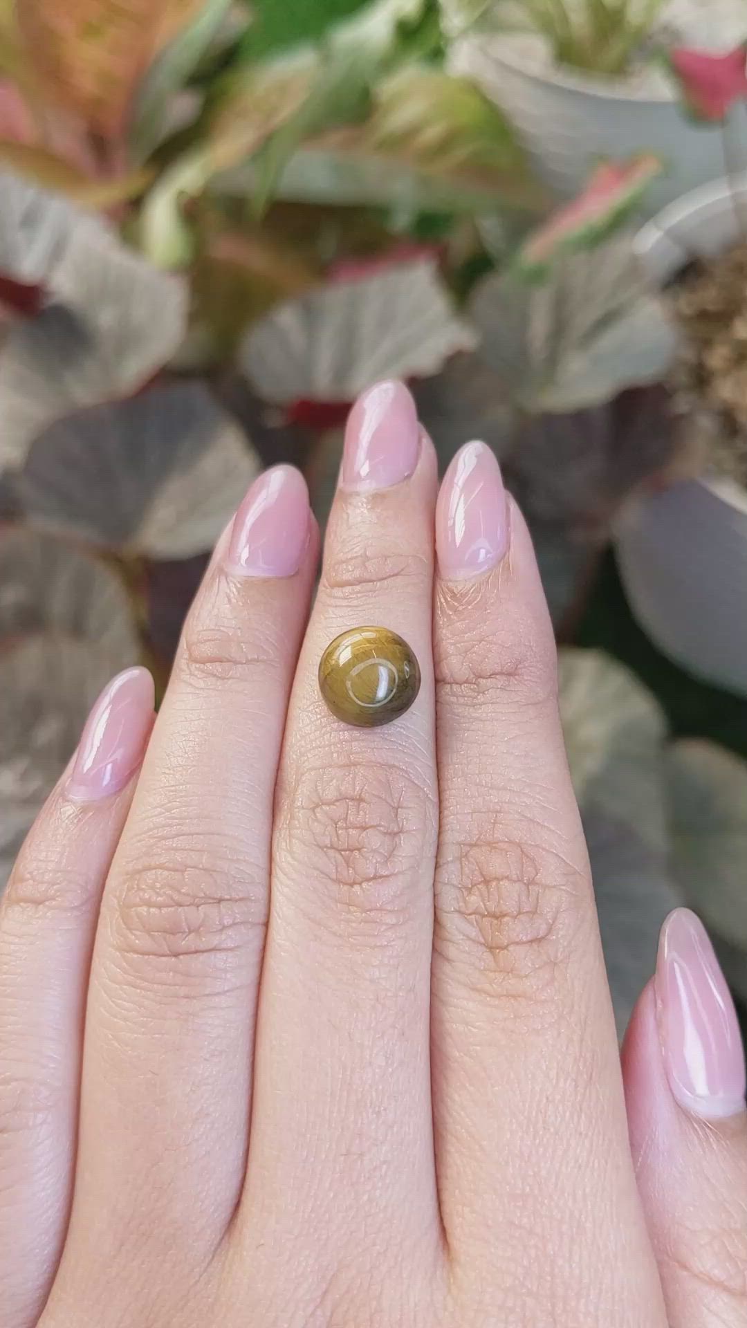 4.57 Ct. Cabochon Tiger's Eye from South Africa Size Video